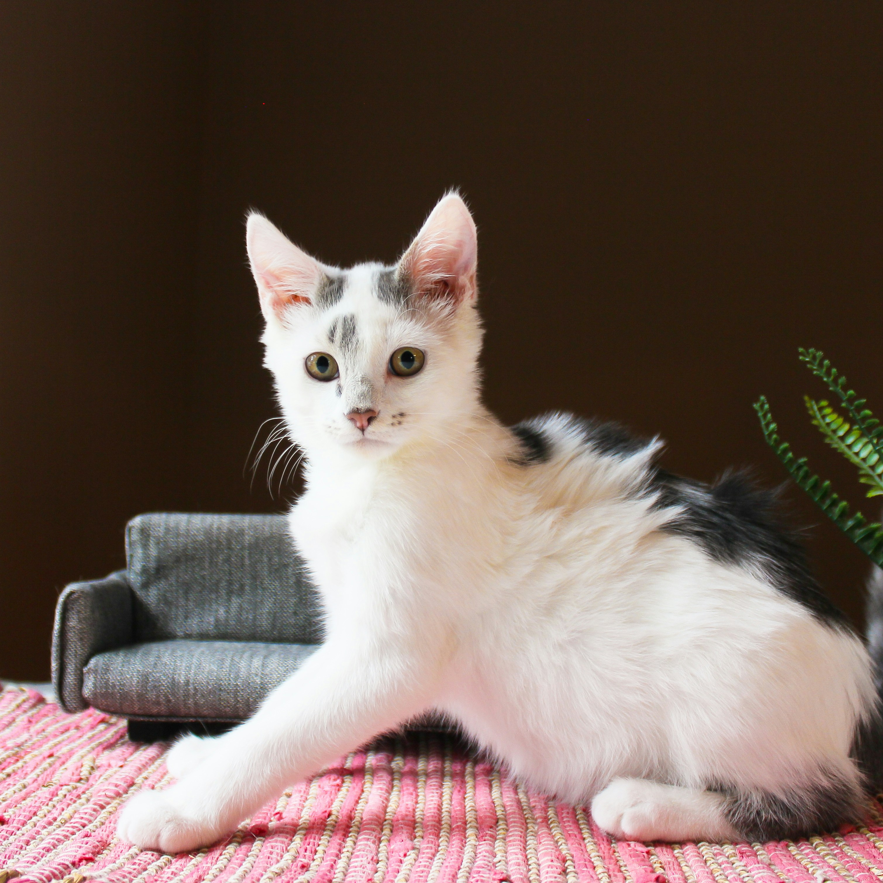 Photo by theluckyneko