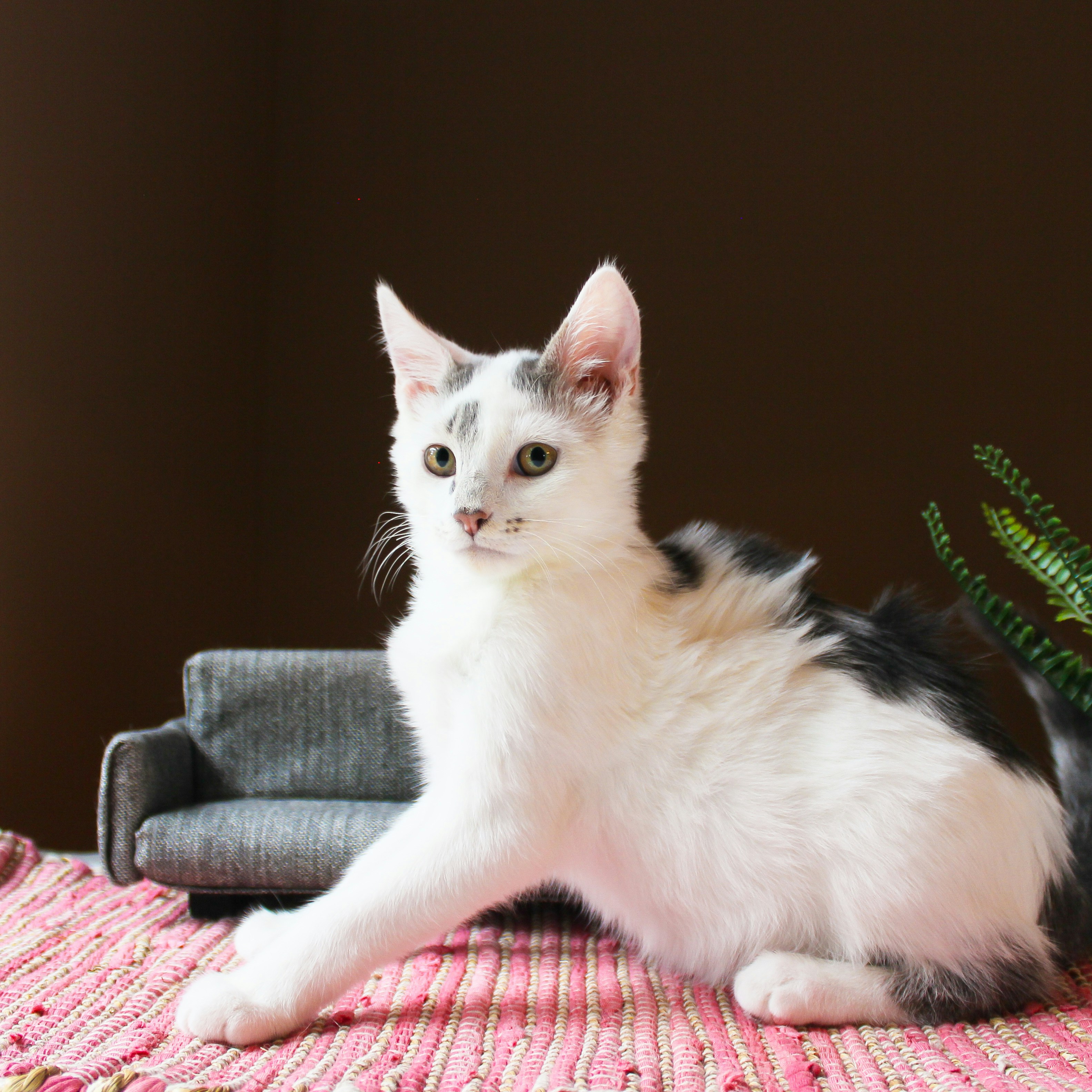 Photo by theluckyneko