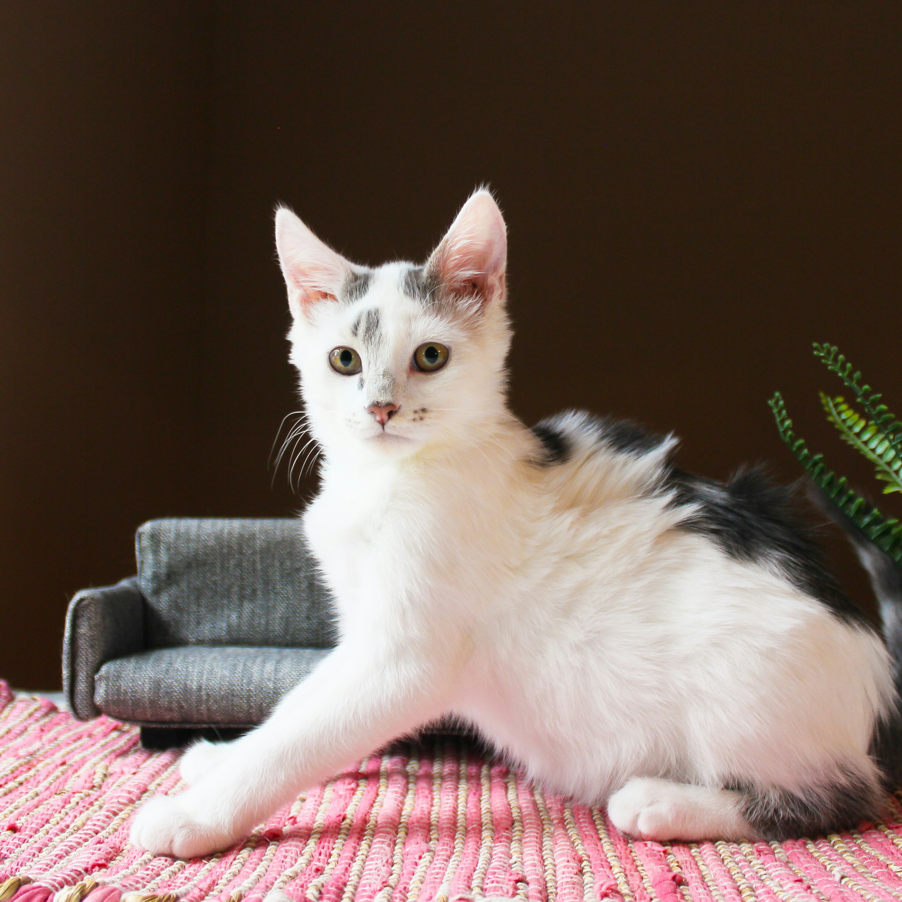 Photo by theluckyneko