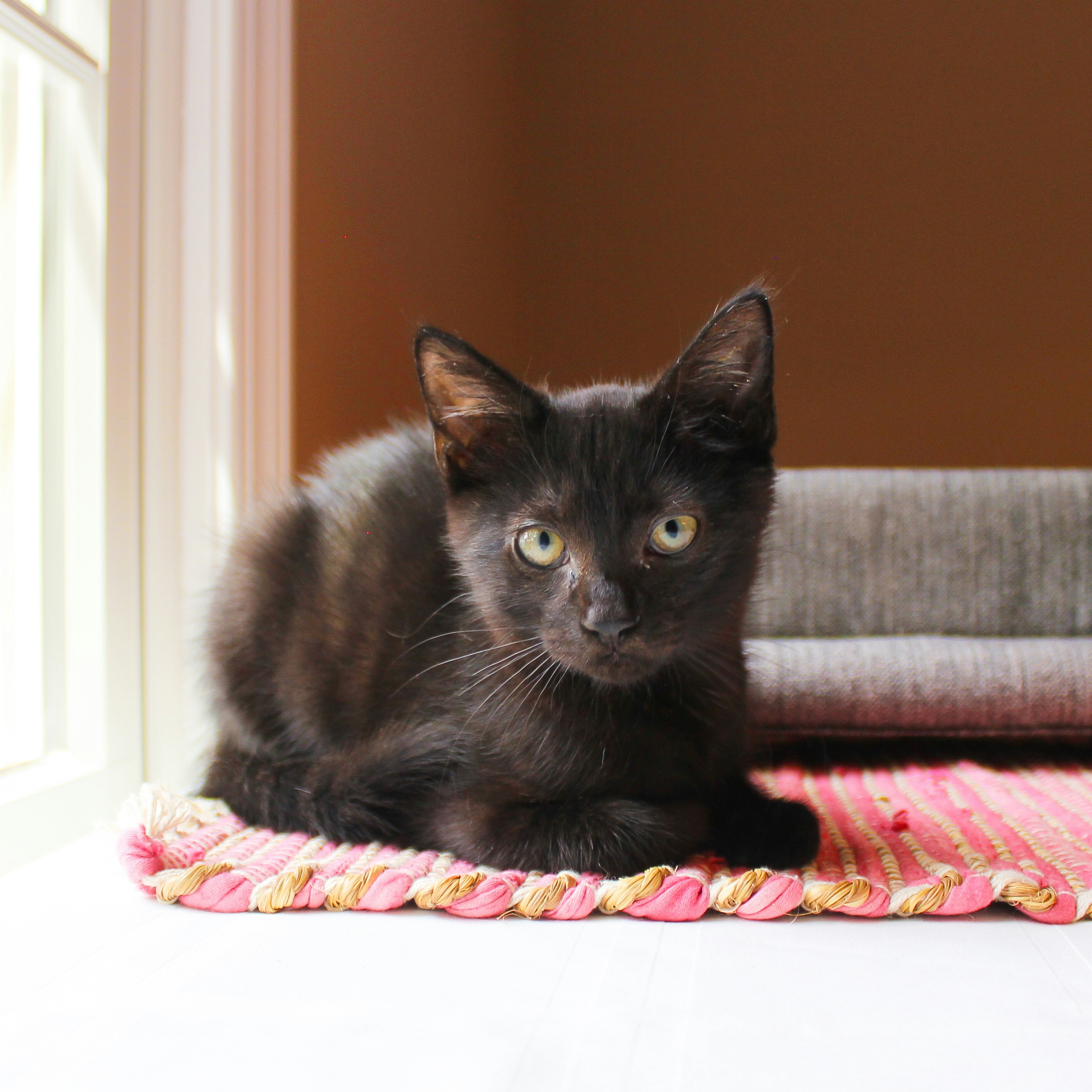 Photo by theluckyneko