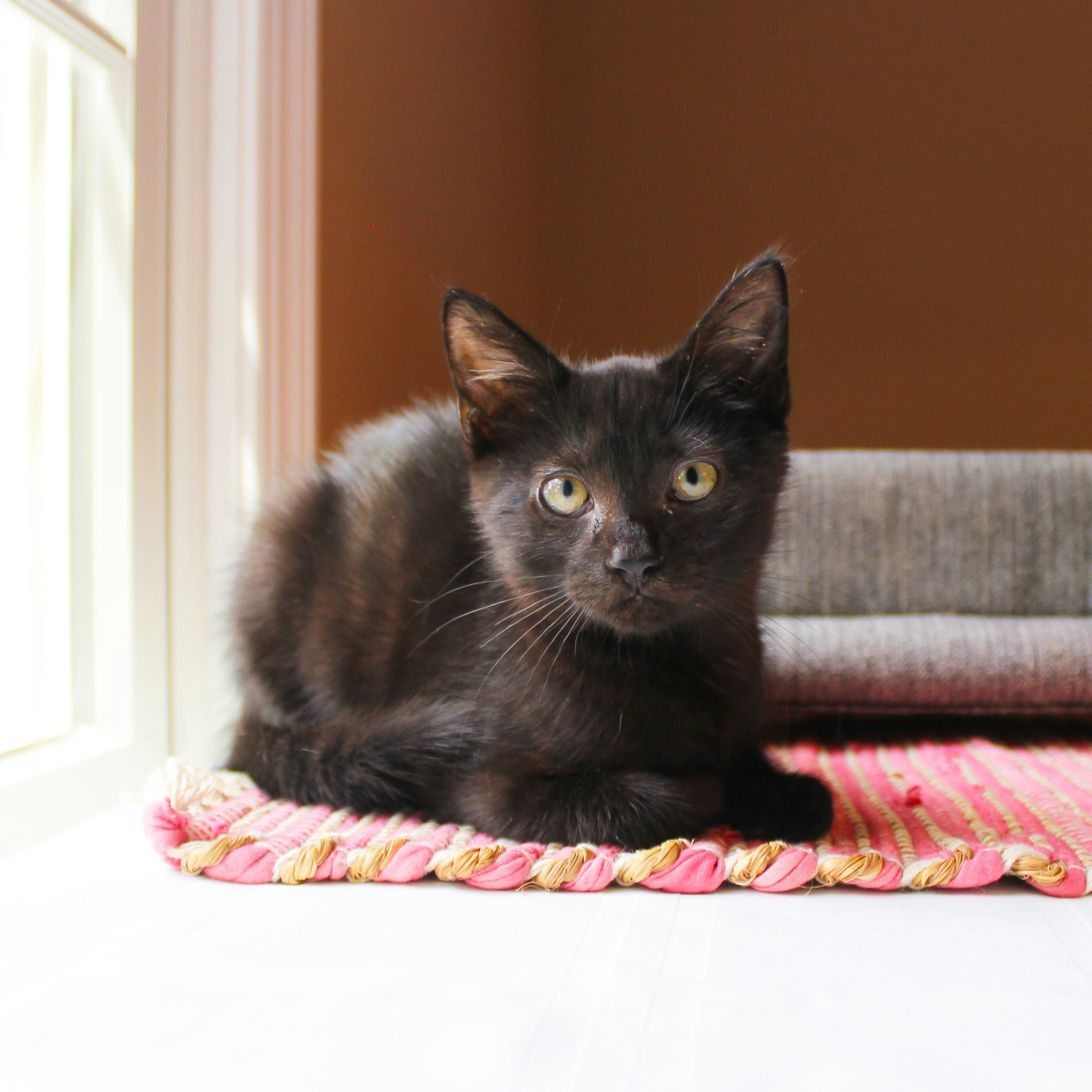 Photo by theluckyneko