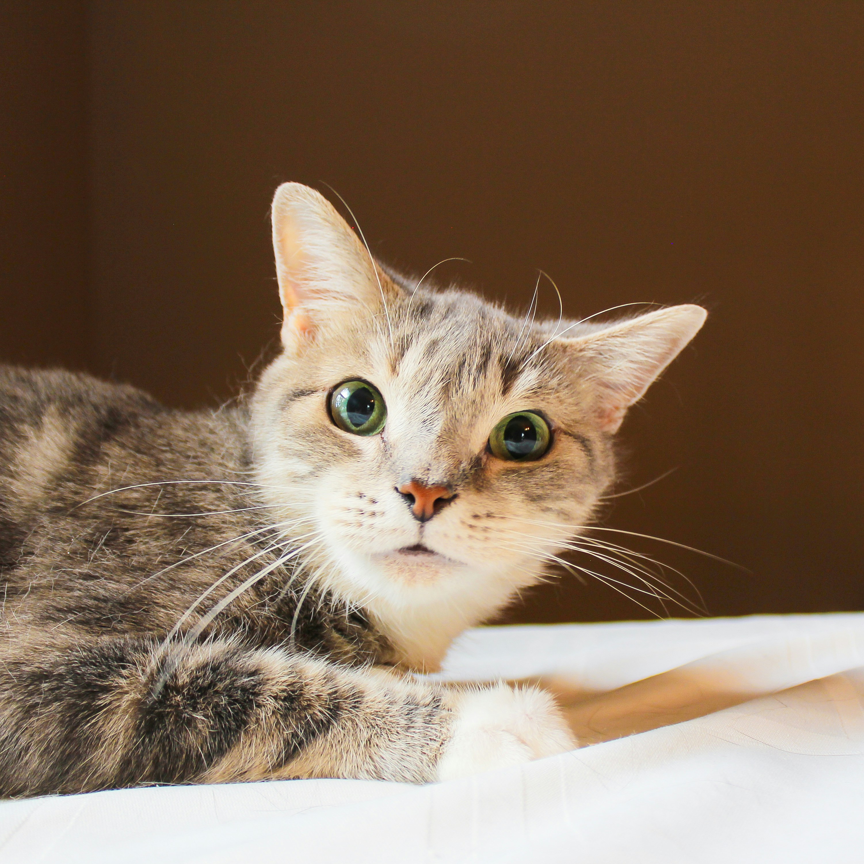 Photo by theluckyneko