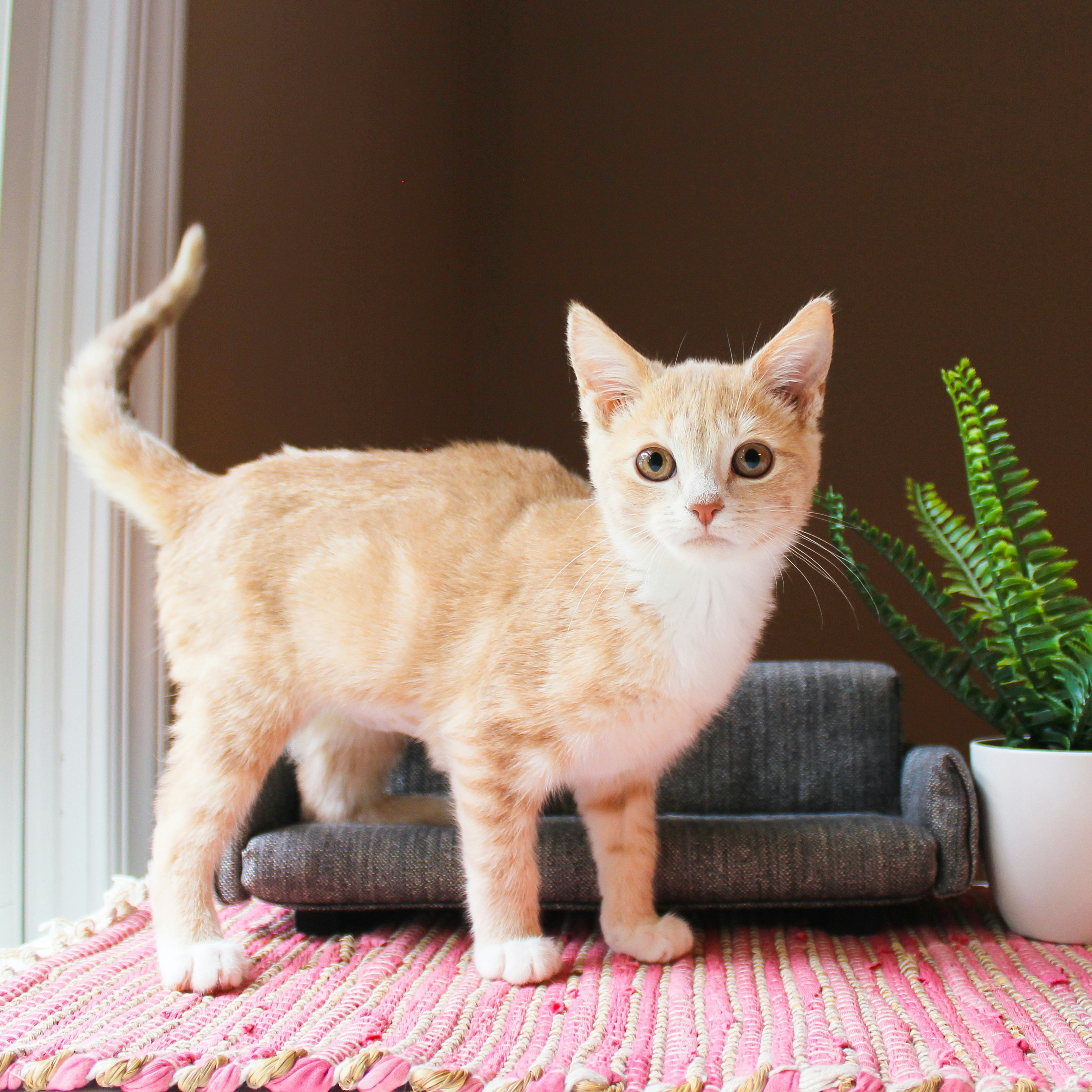 Photo by theluckyneko