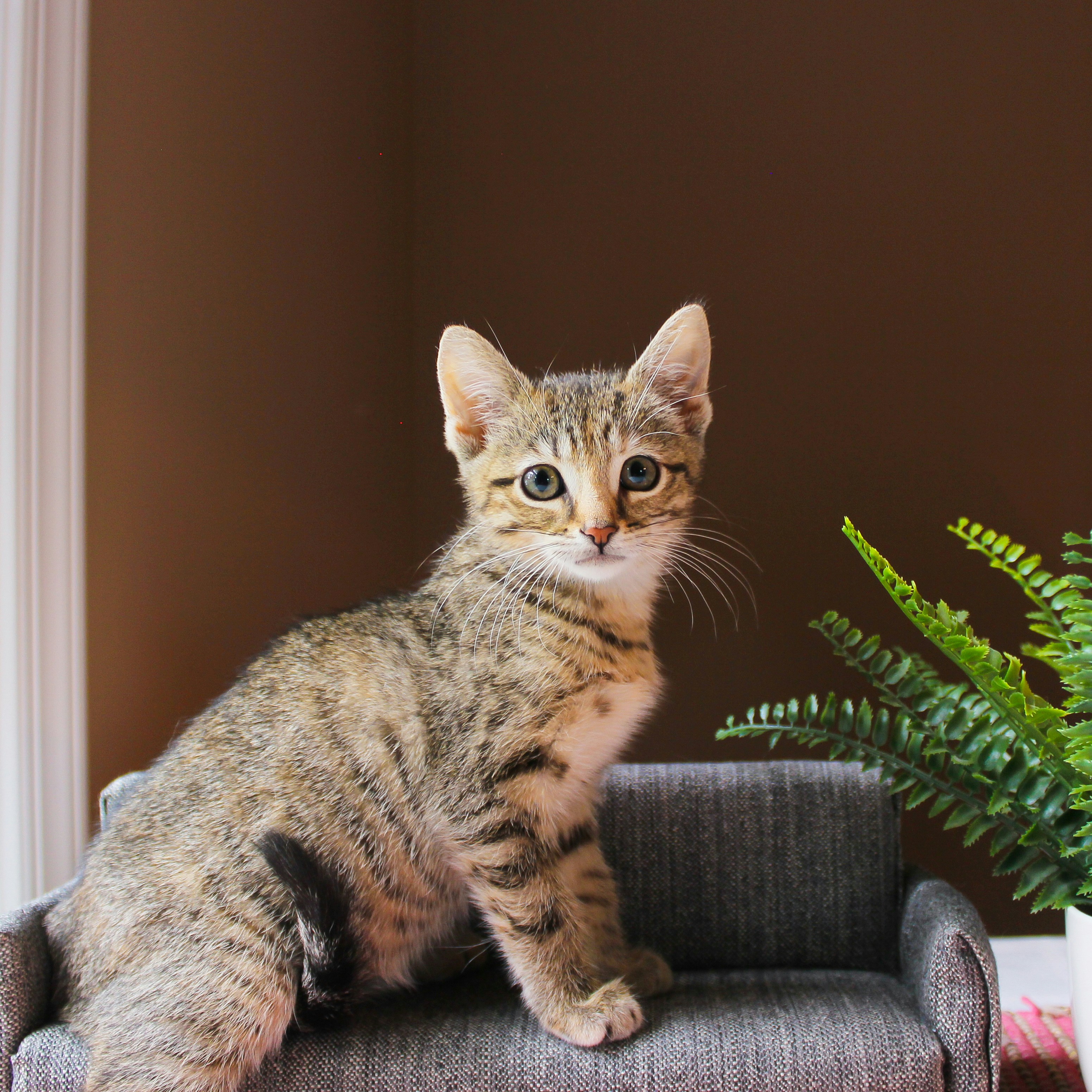 Photo by theluckyneko