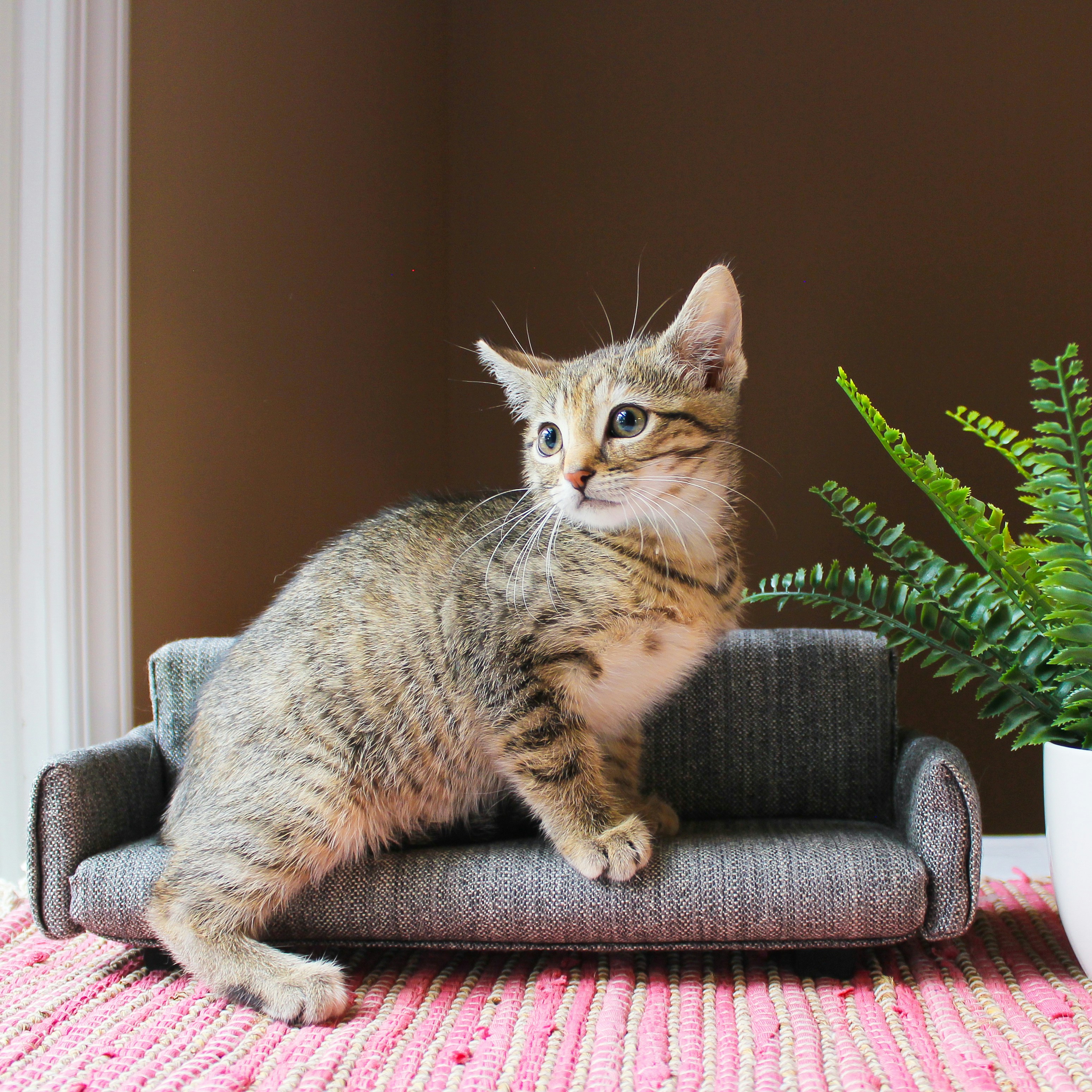 Photo by theluckyneko