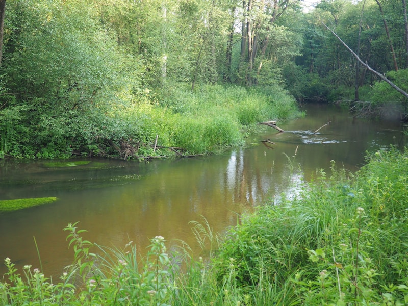 Julia Pietrucha @ Miejski Klub im. Jana Kiepury w Sosnowcu