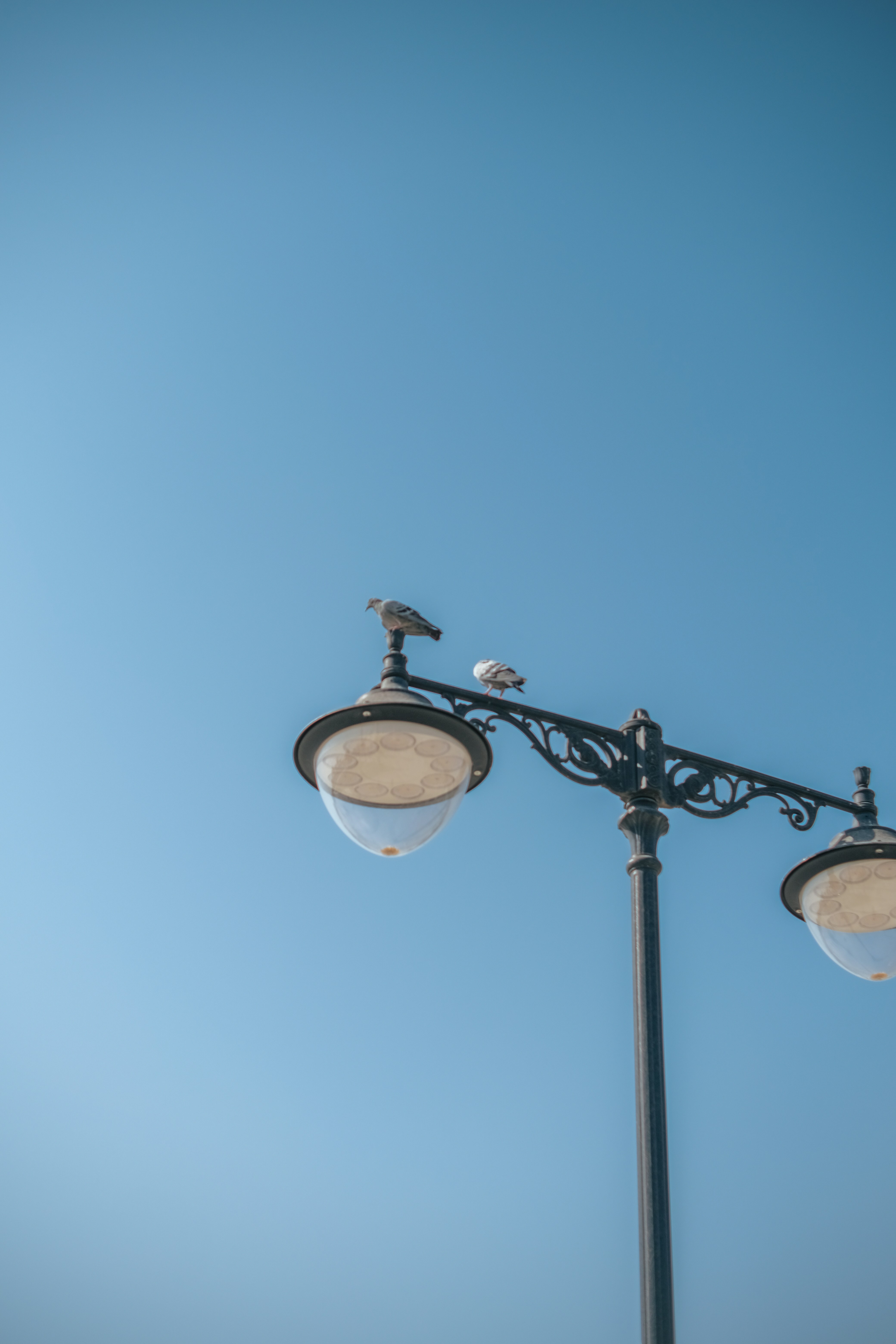 Photo by yusuprachman