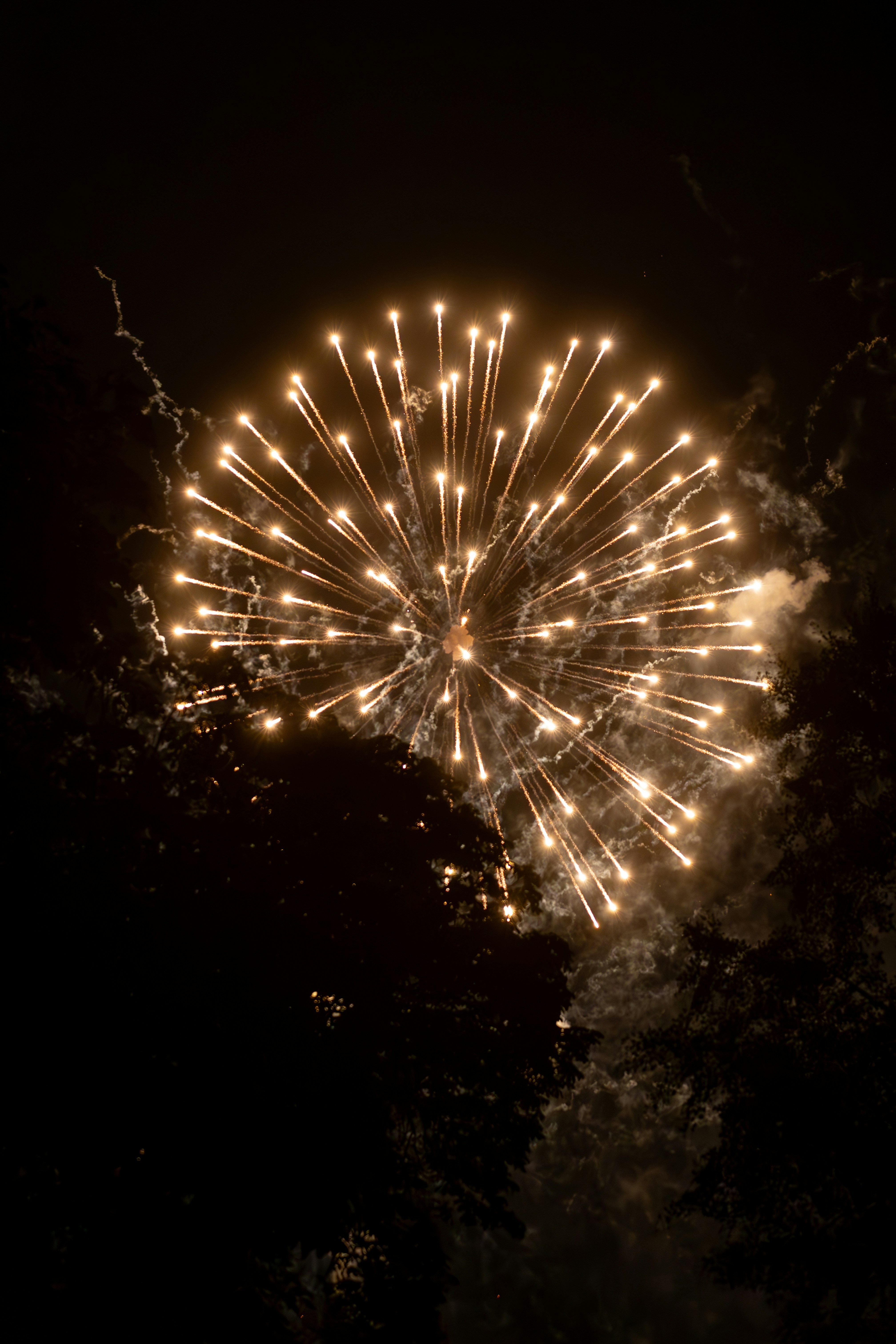 Photo by samarthkuls