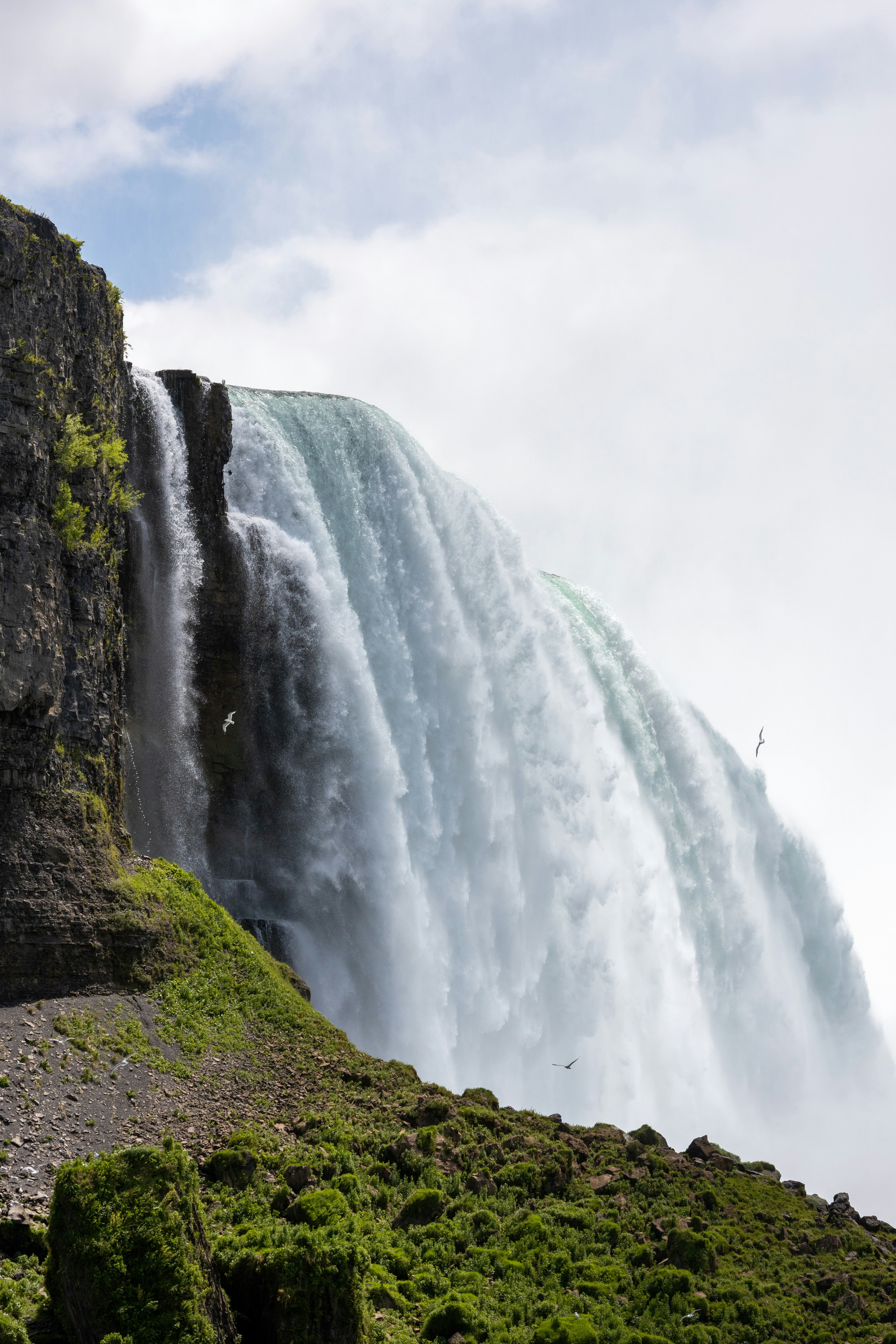 Photo by samarthkuls