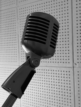 A black and white photo of a microphone