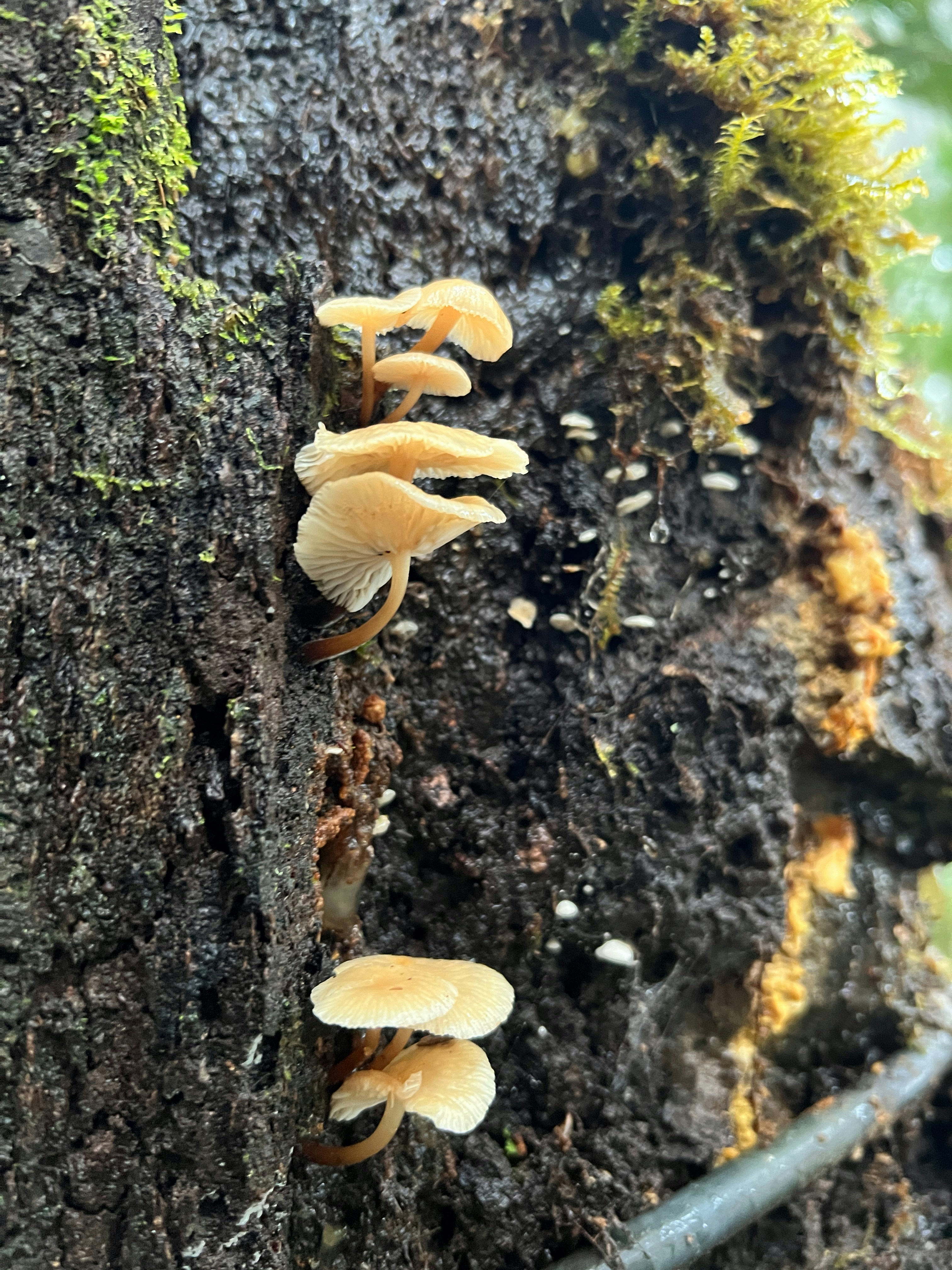 Photo by grasslands2018