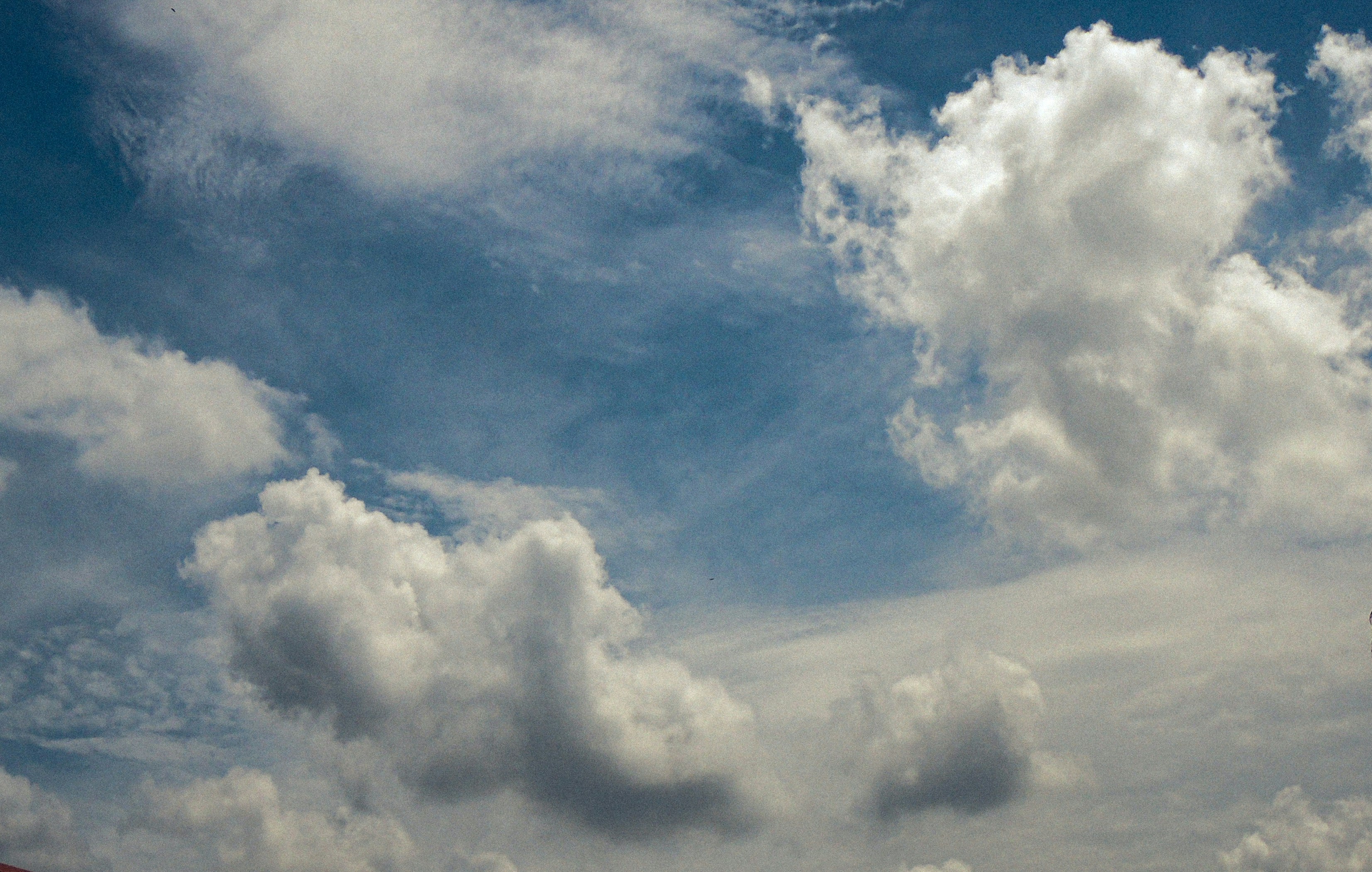 Photo by neelmoon1314