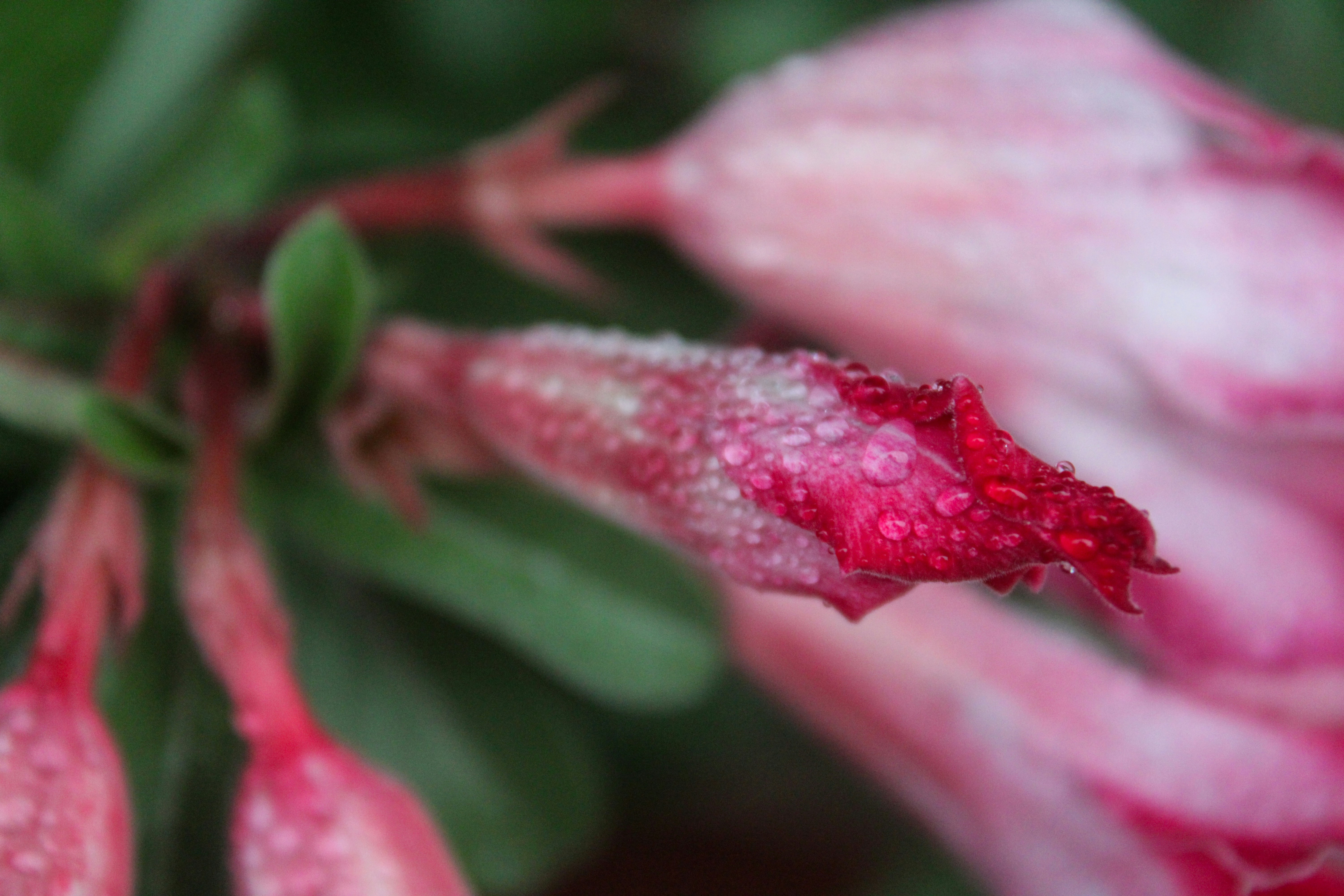 Photo by neelmoon1314