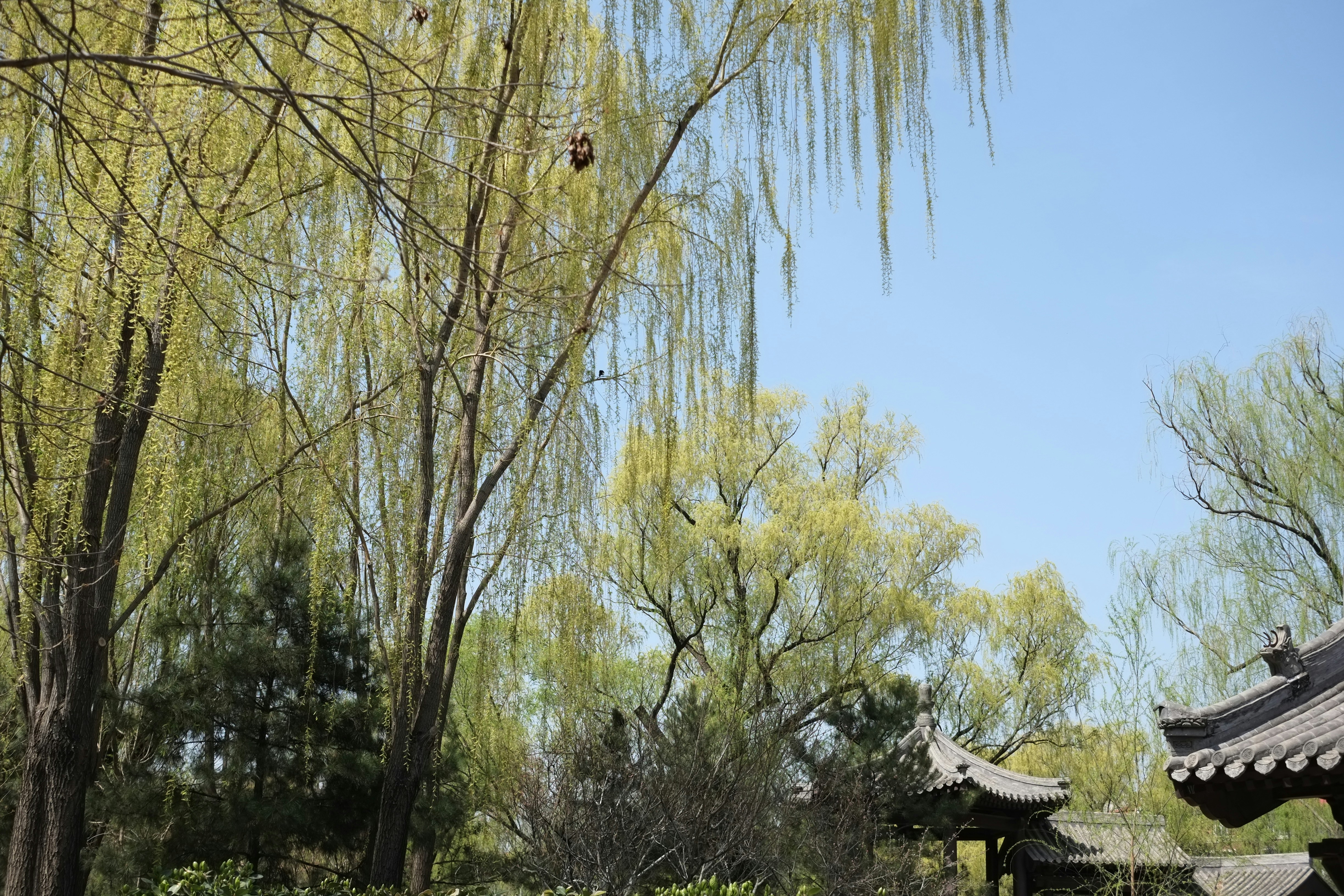 Photo by mclee