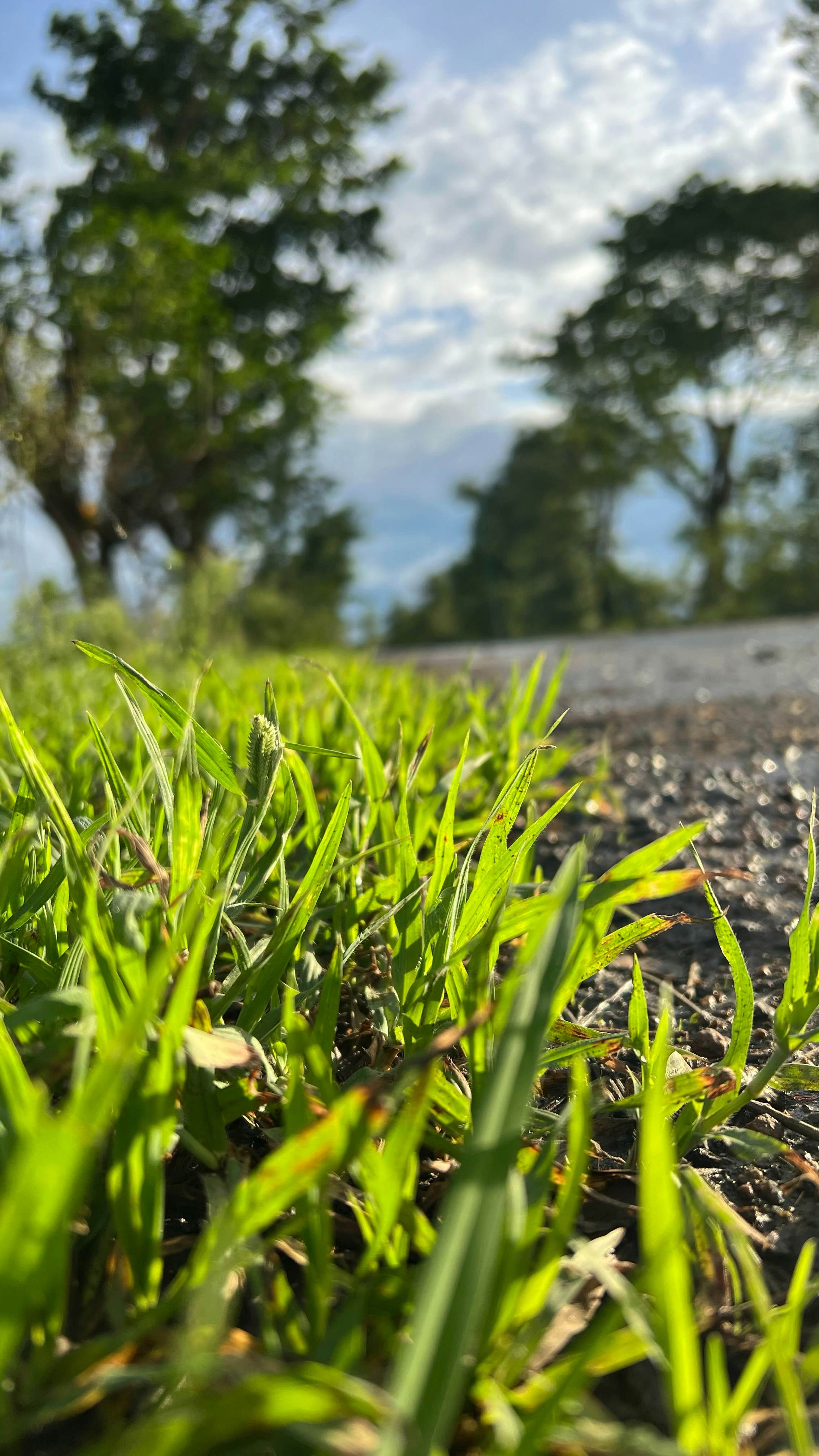 Shaik Althaf (@nameisalthaf) | Unsplash Photo Community