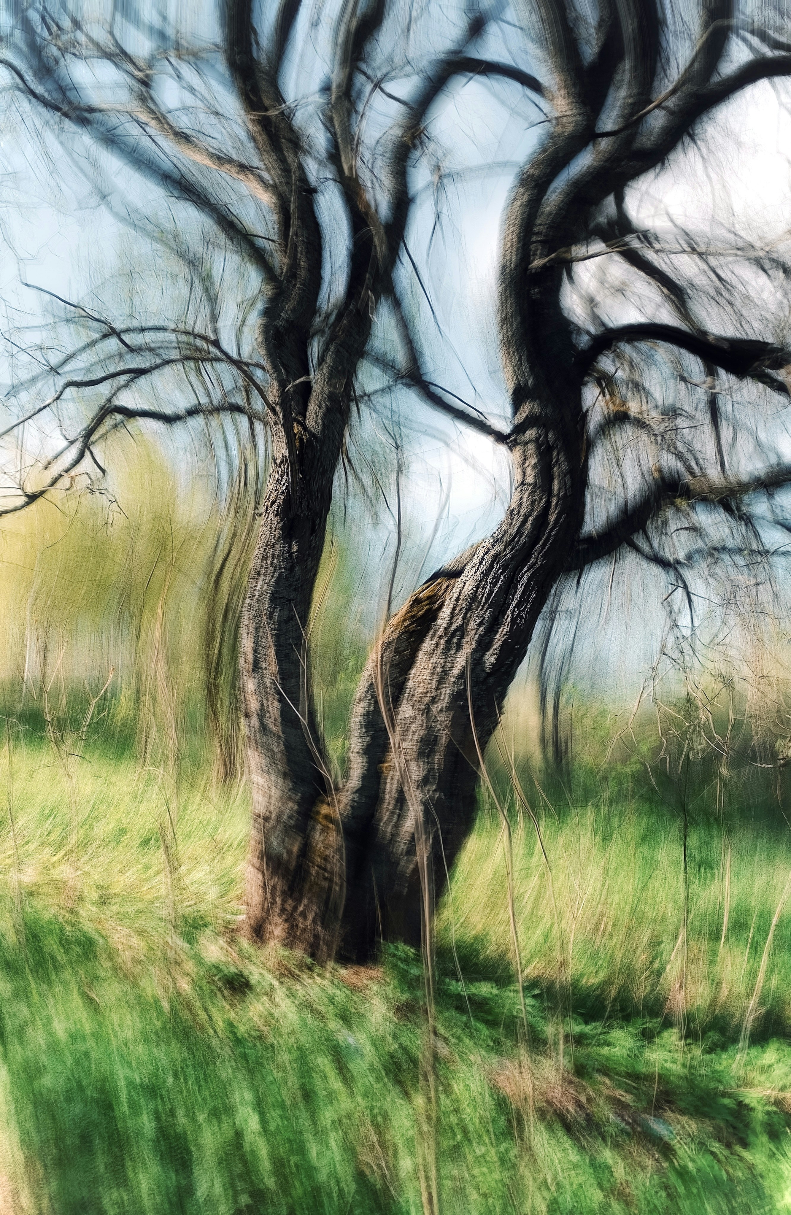 Photo by eugene_golovesov