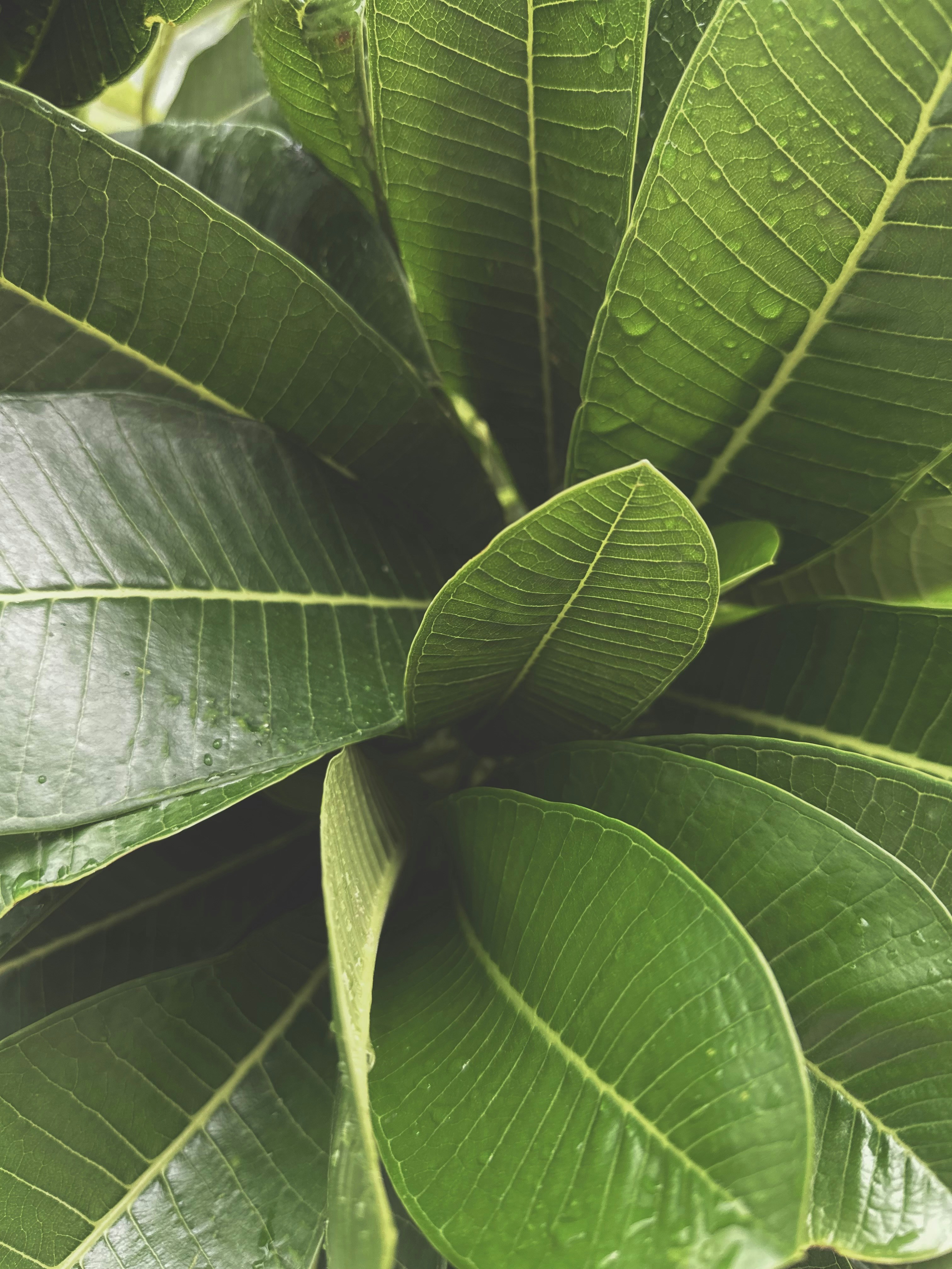 Photo by neelakshi_singh_