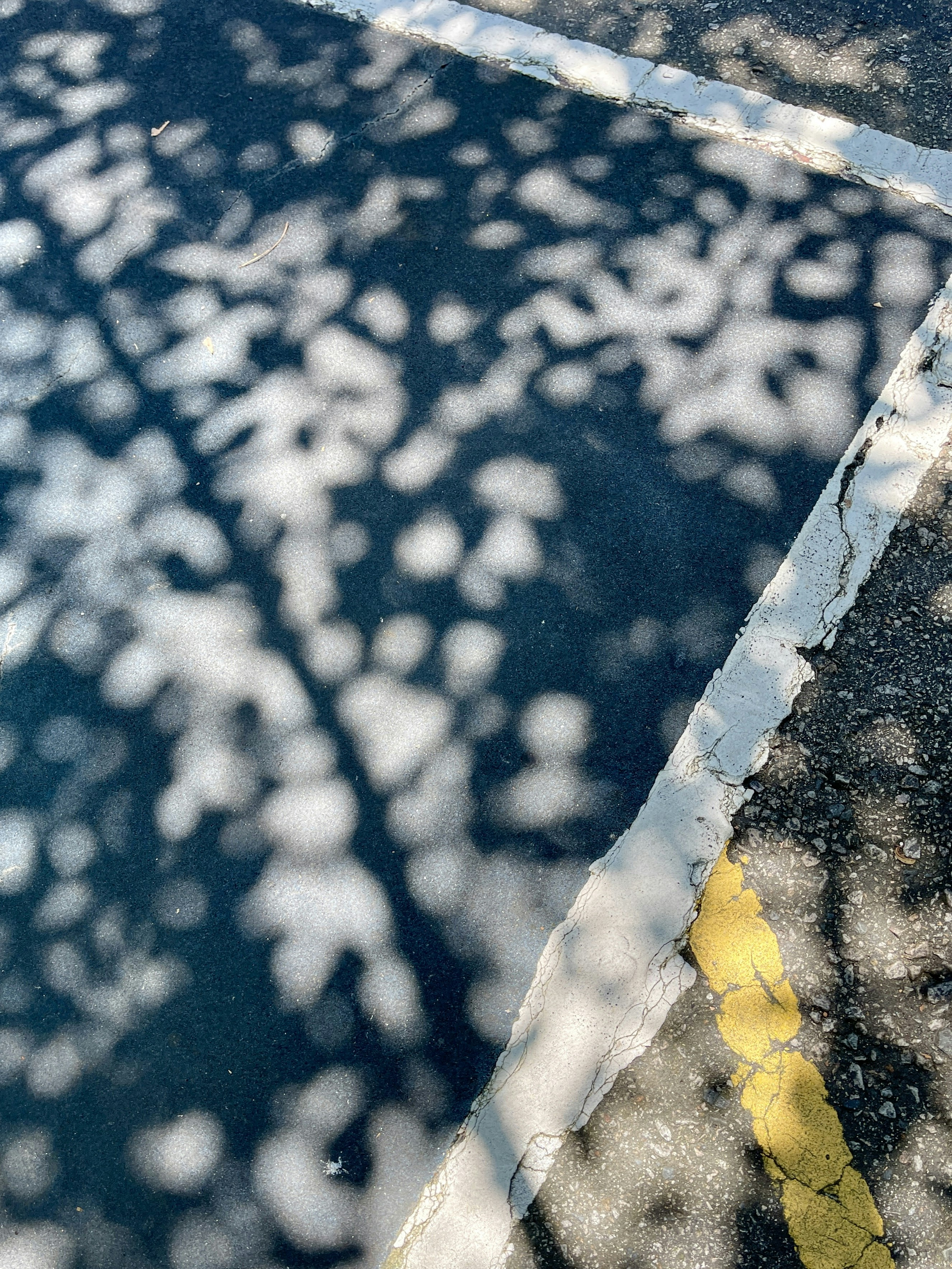 Normal Life Pictures | Download Free Images on Unsplash