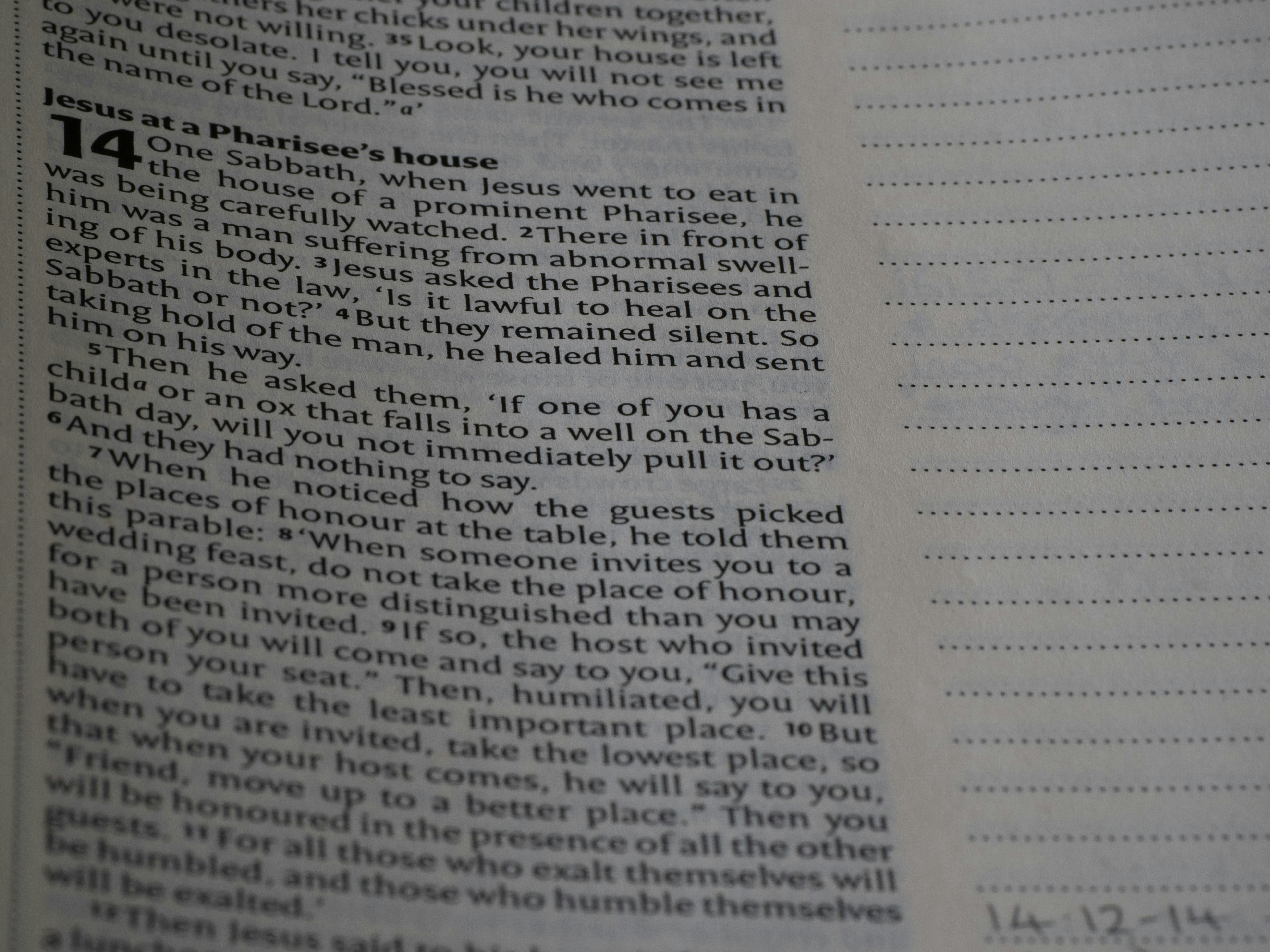 Photo by brett_jordan