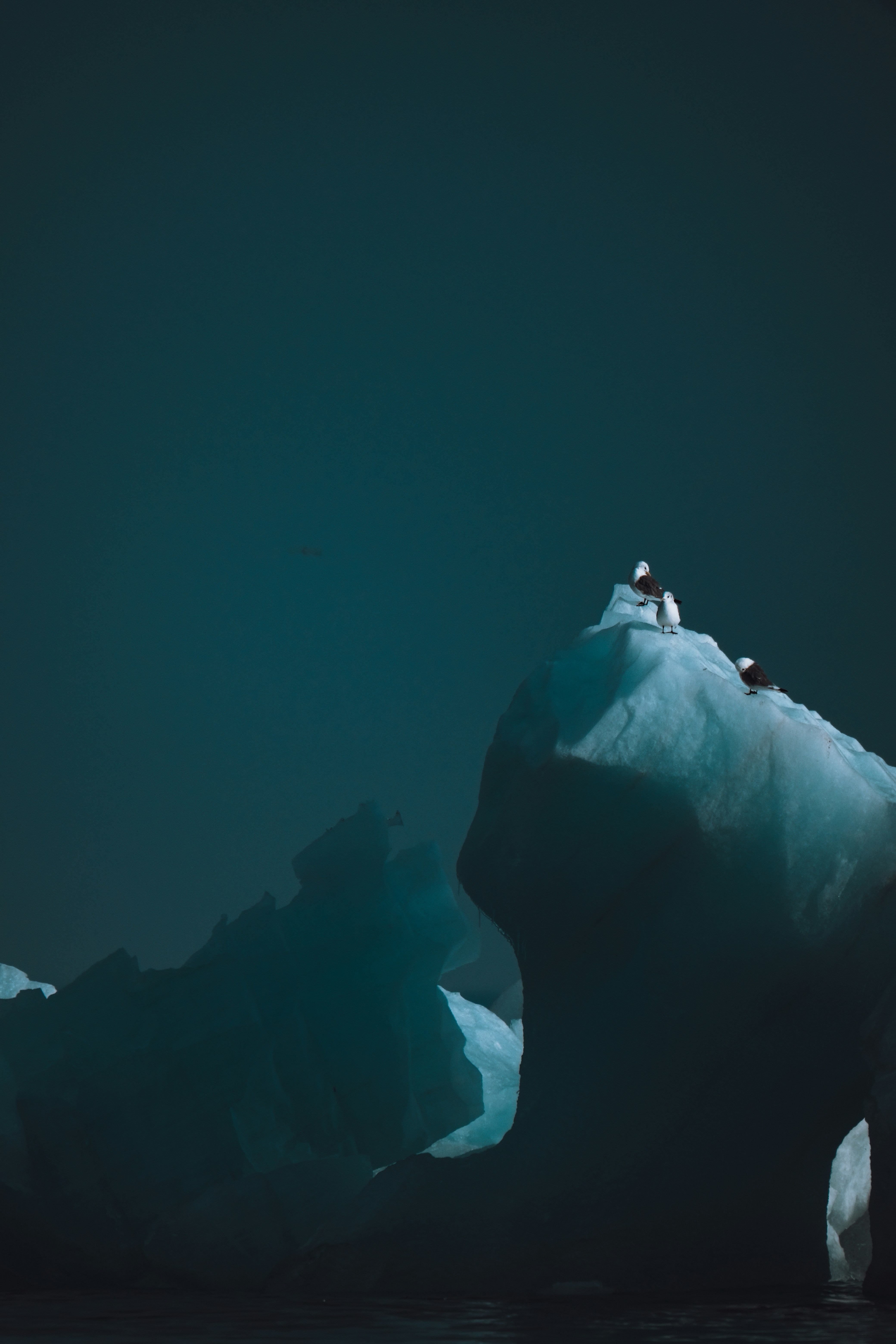 Photo by francesco_ungaro