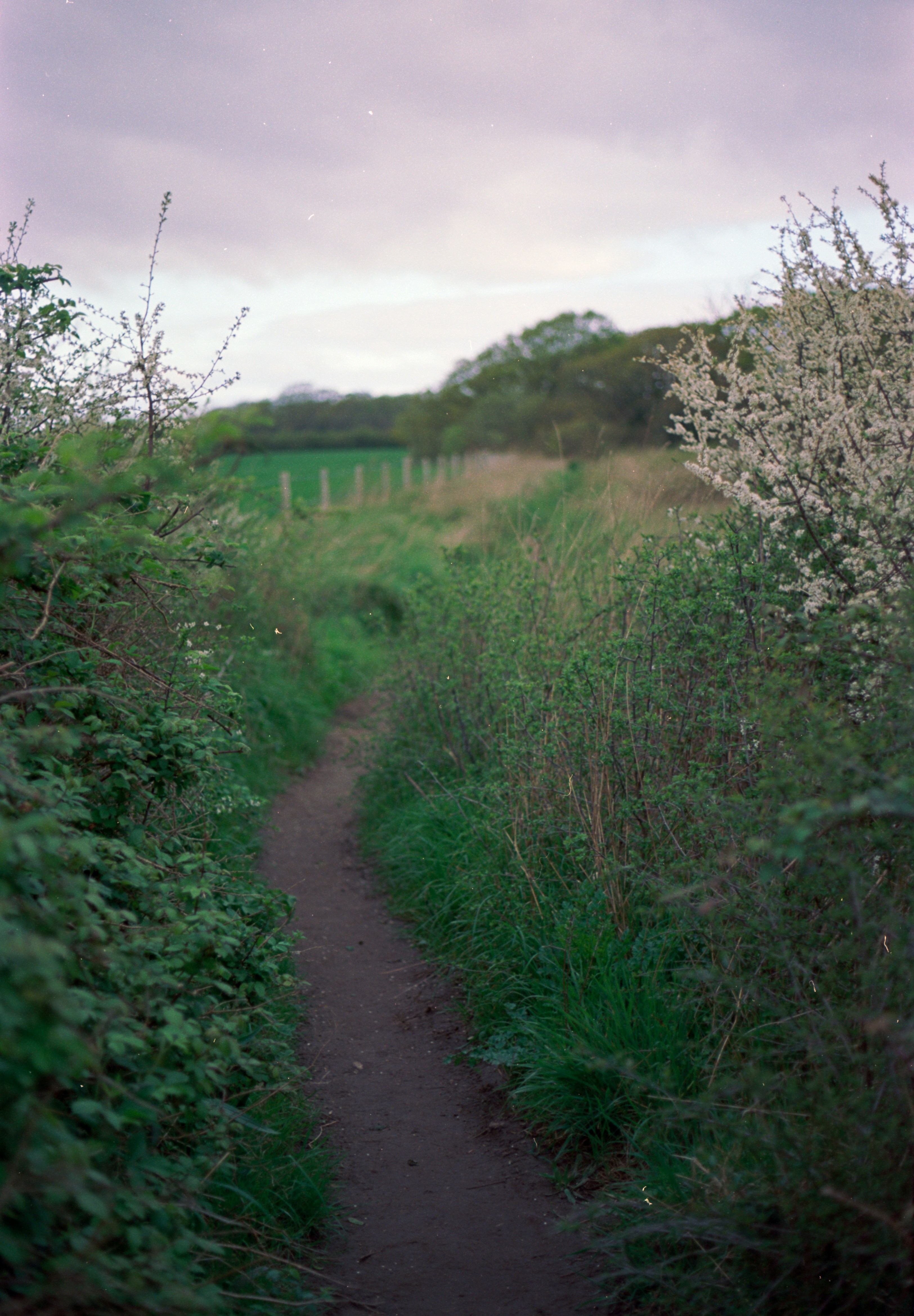 Photo by anniespratt