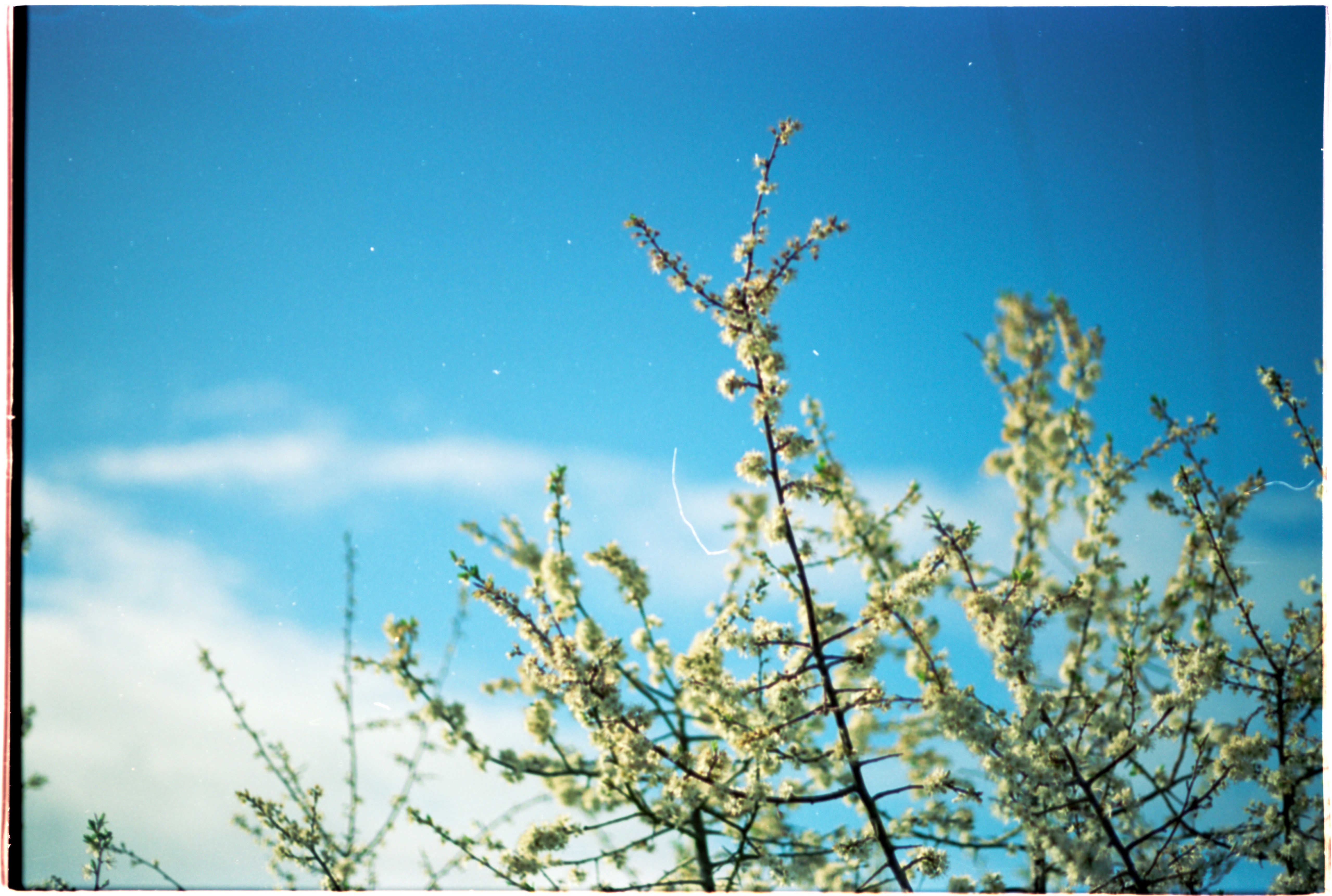 Photo by anniespratt