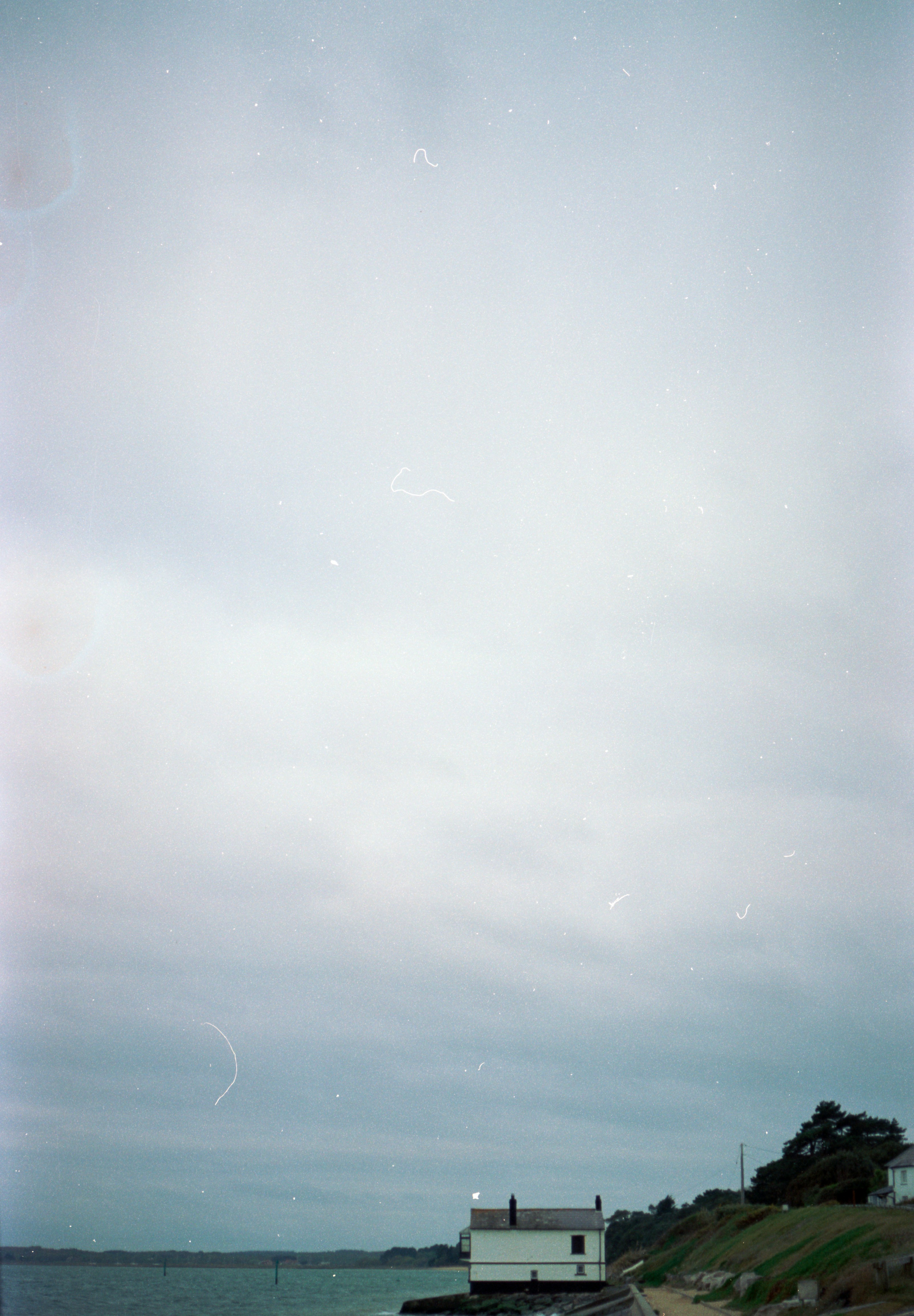 Photo by anniespratt