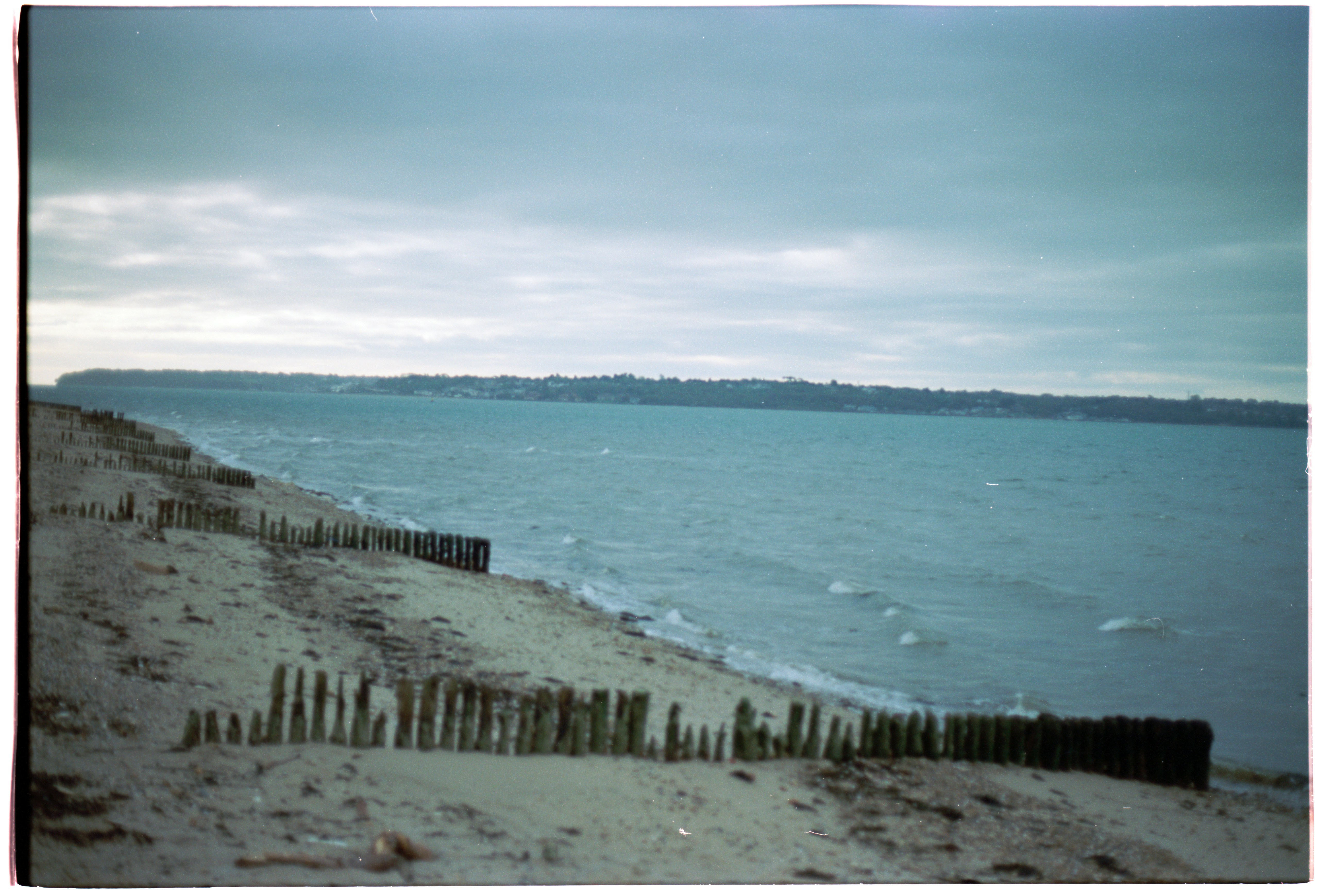 Photo by anniespratt