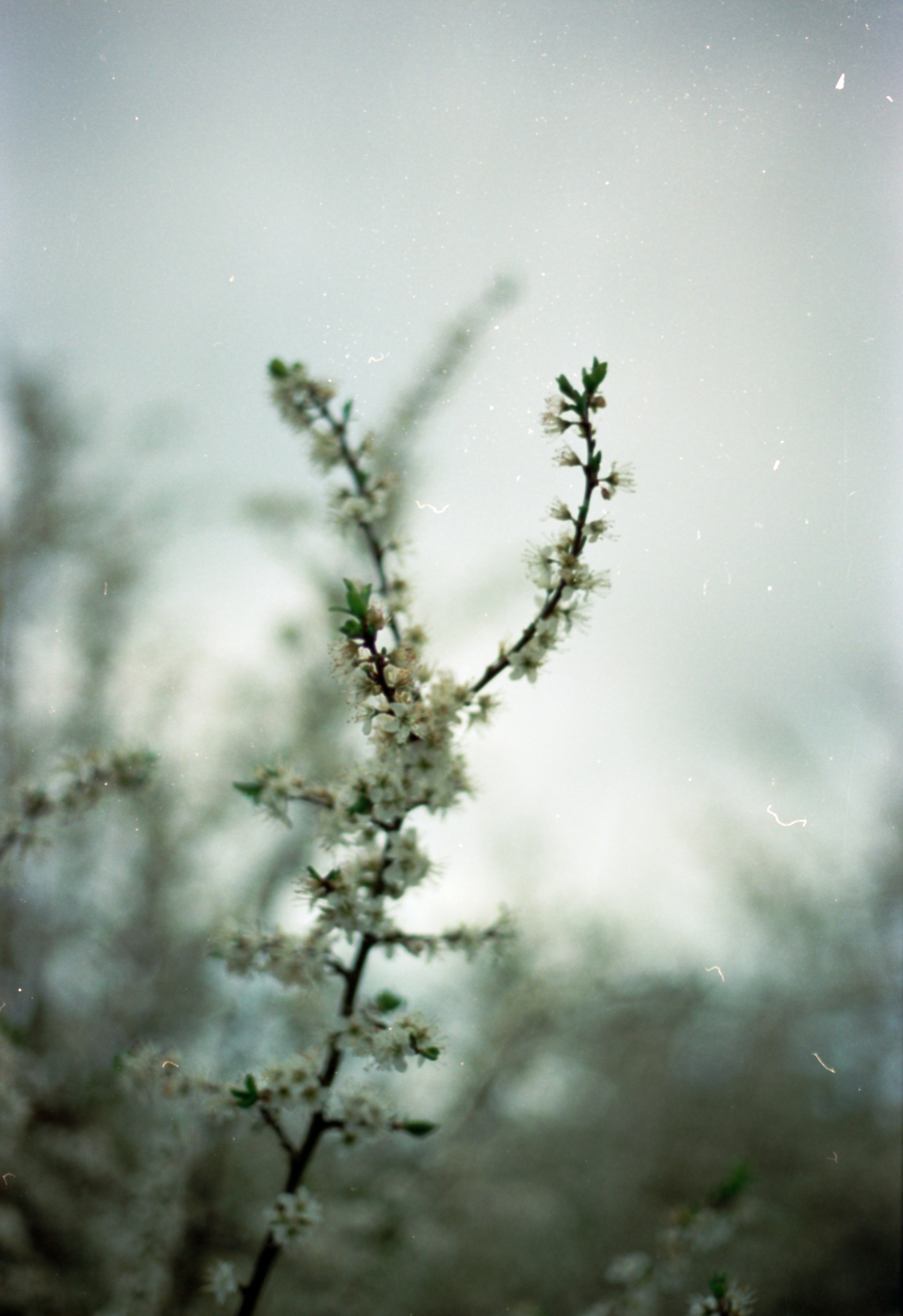 Photo by anniespratt