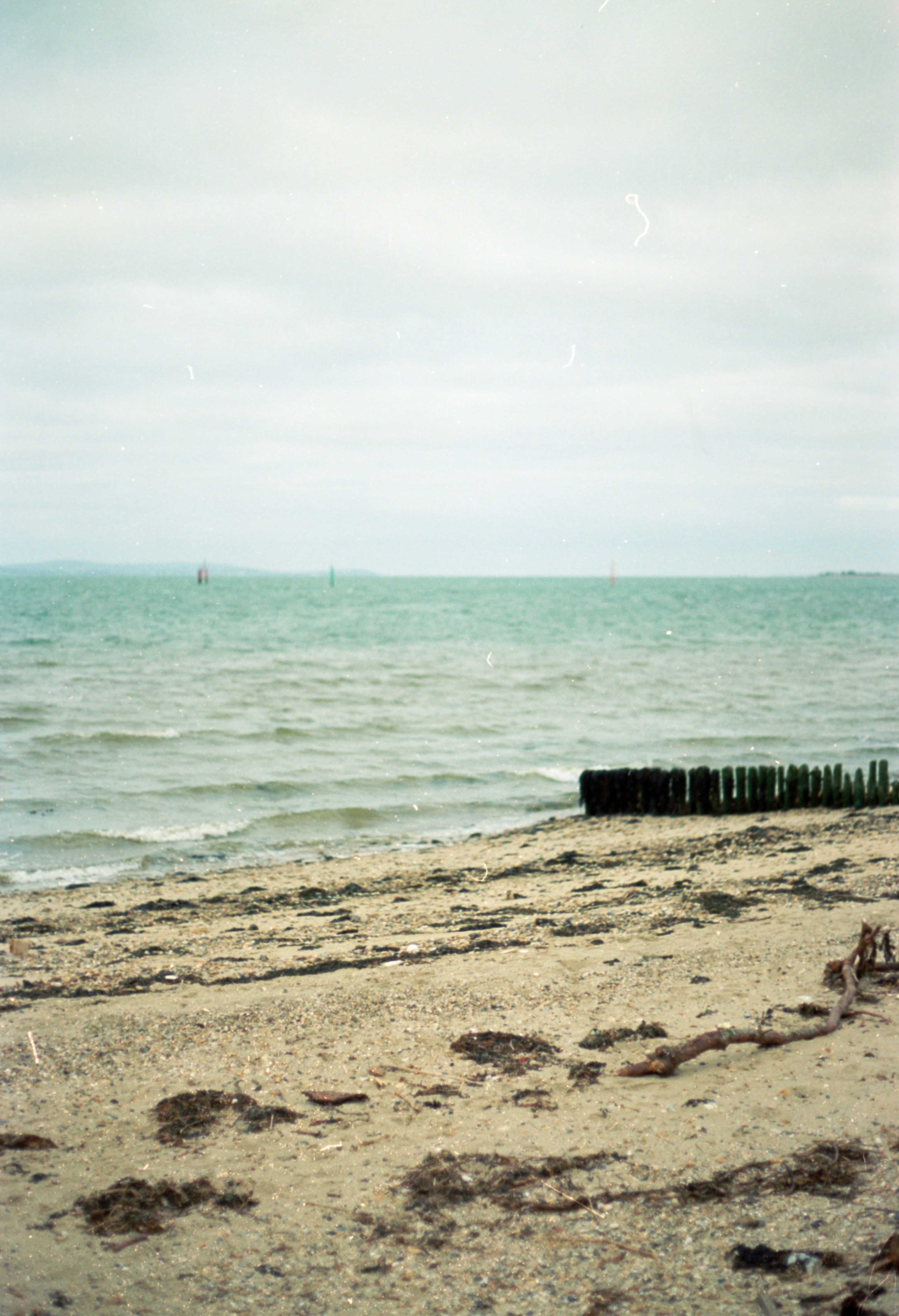 Photo by anniespratt