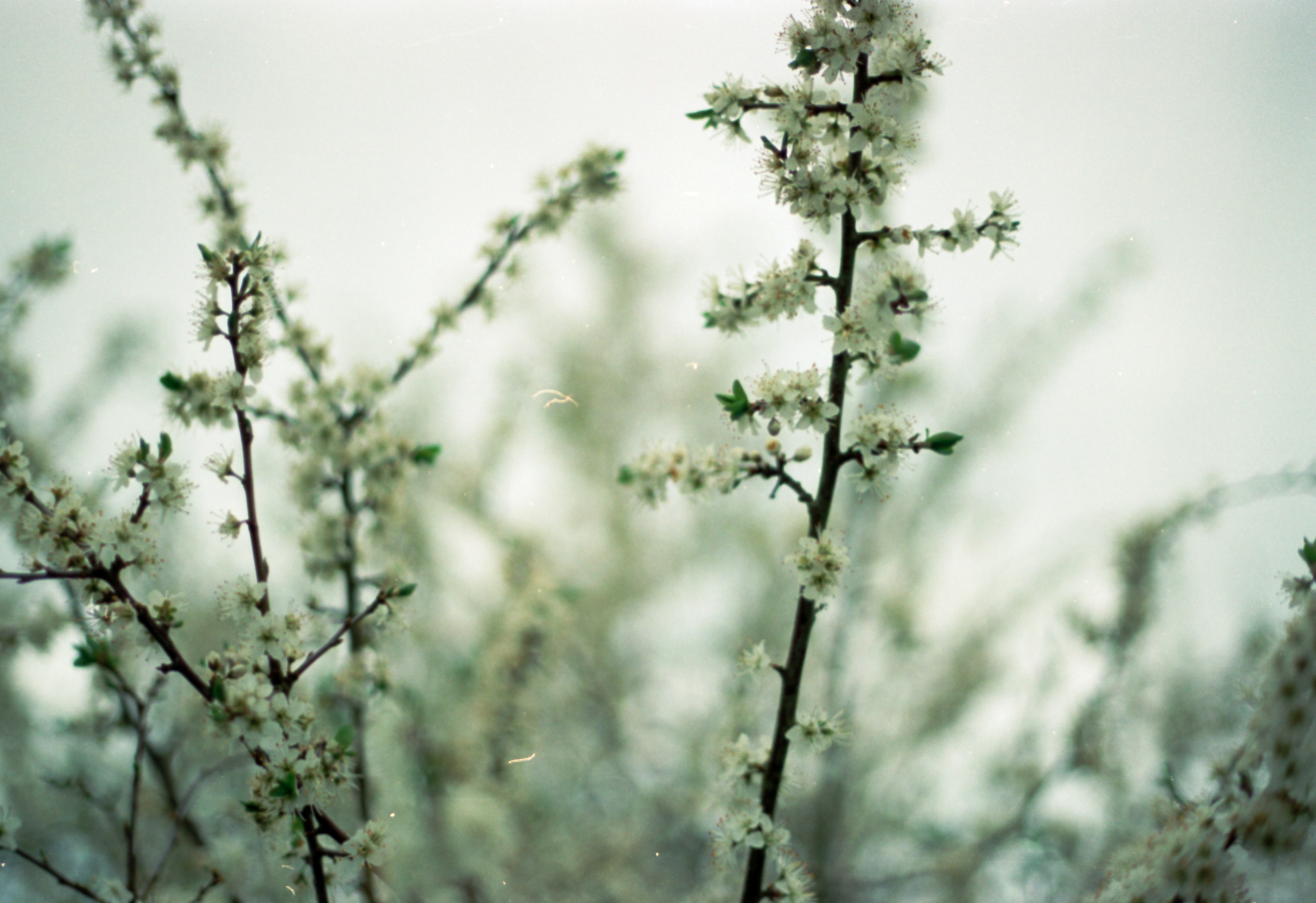 Photo by anniespratt