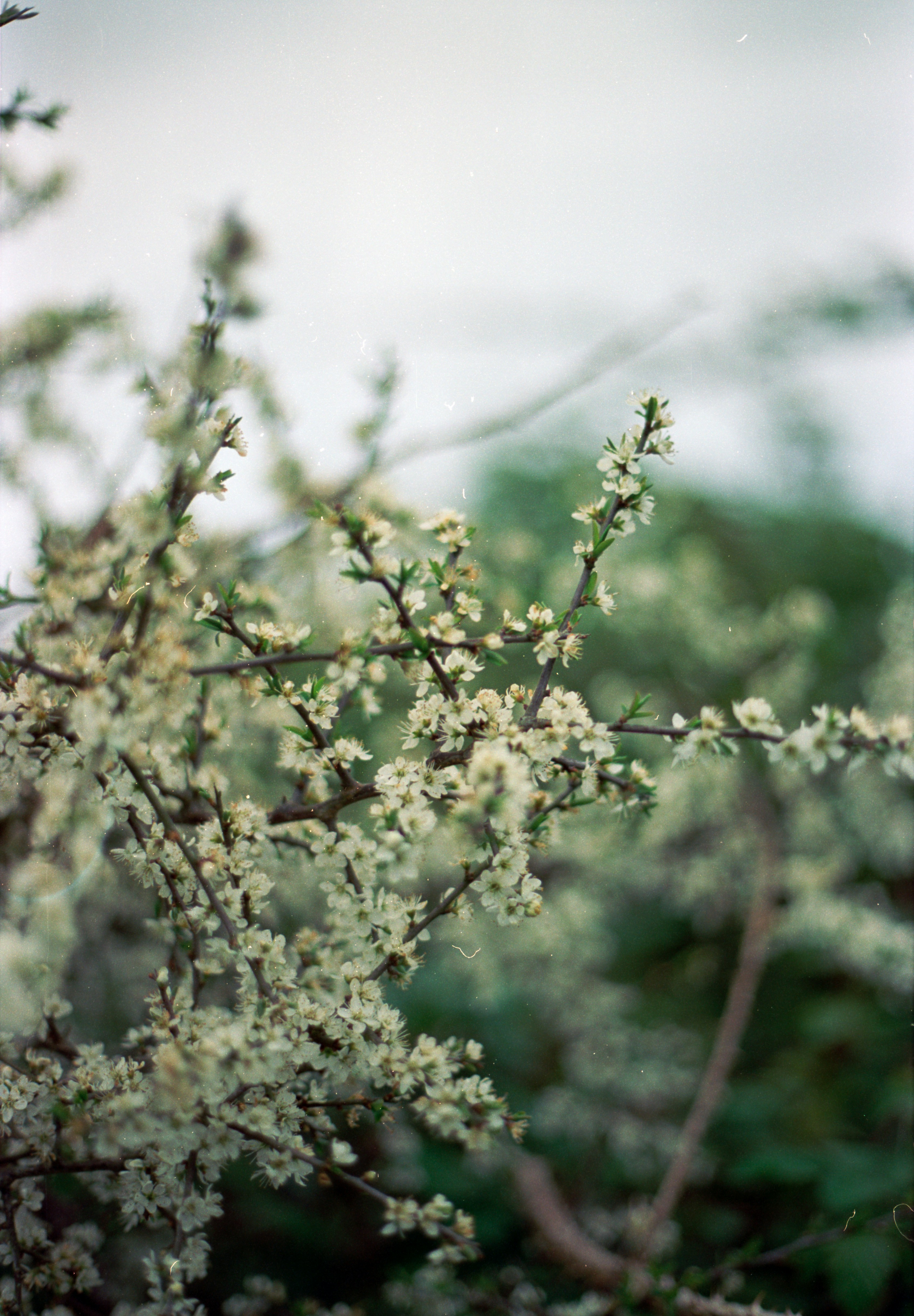 Photo by anniespratt