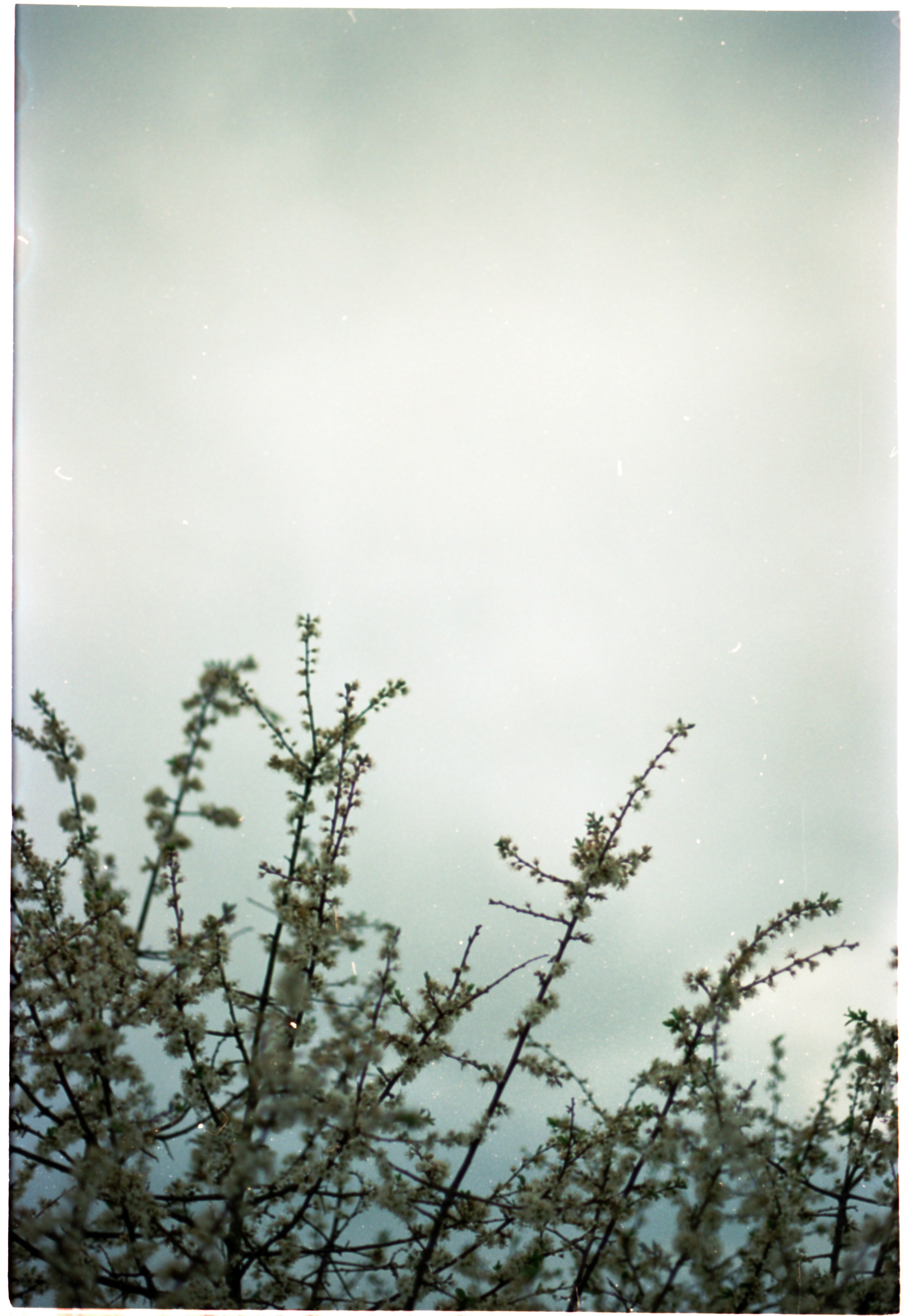 Photo by anniespratt