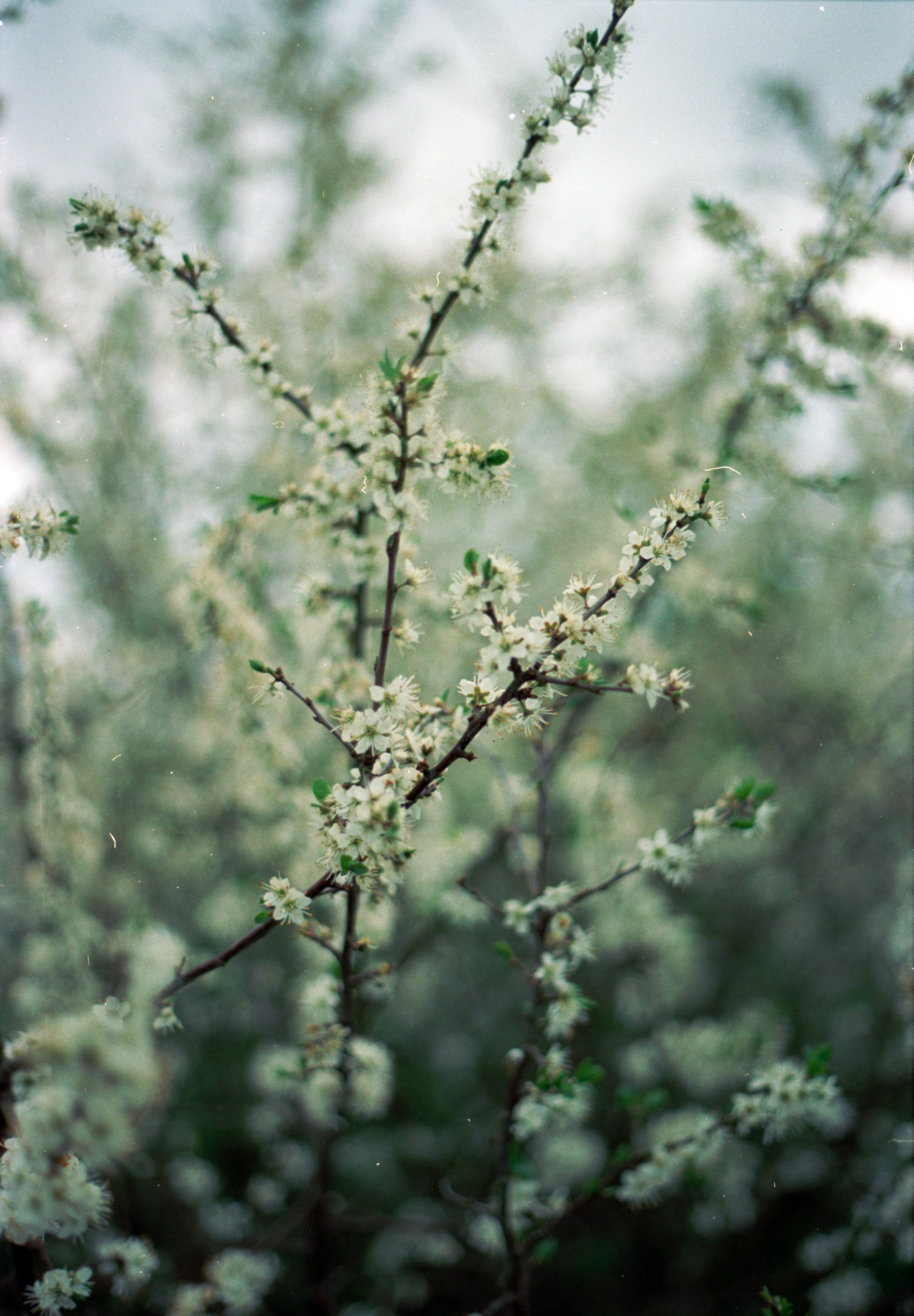 Photo by anniespratt