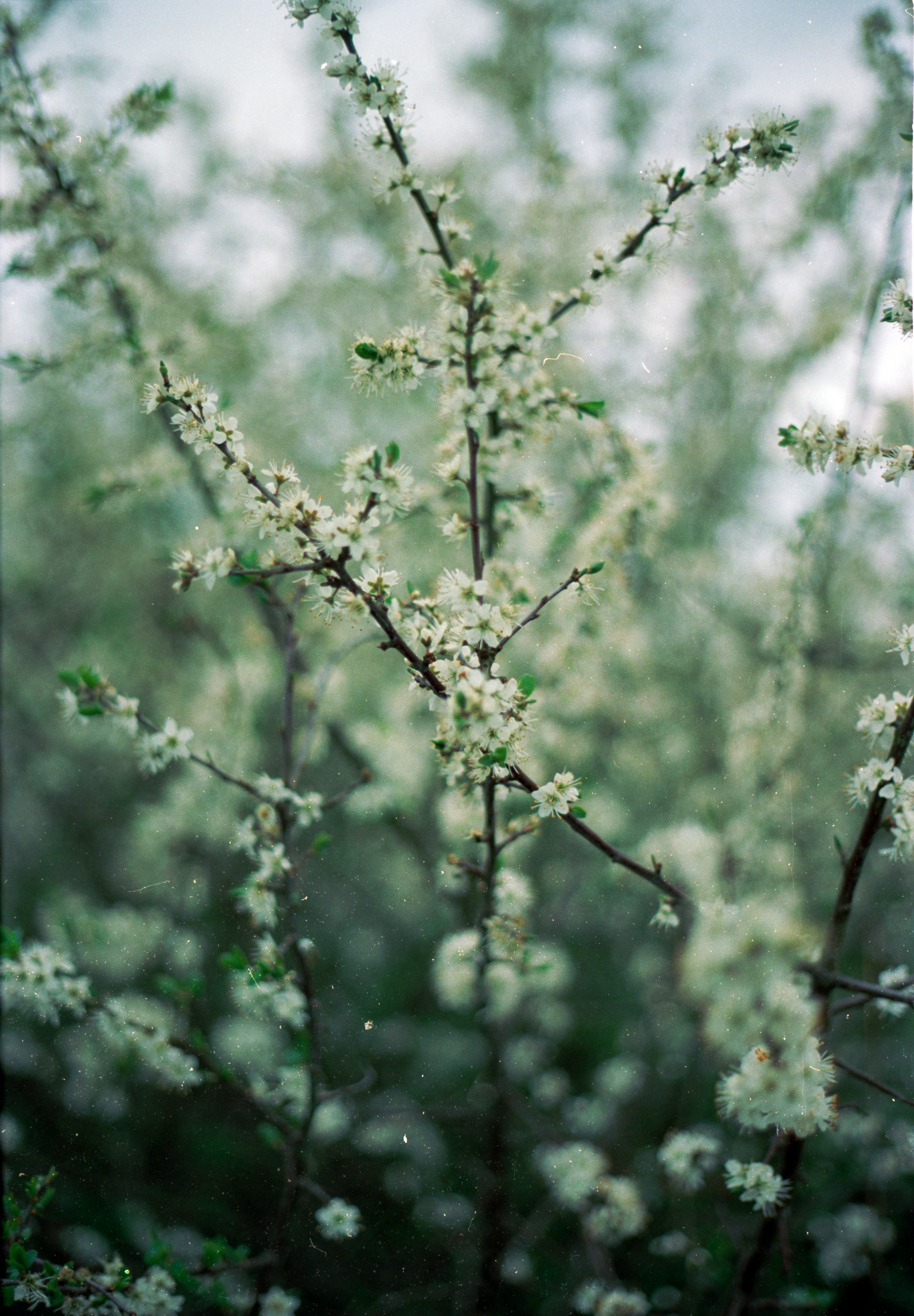 Photo by anniespratt