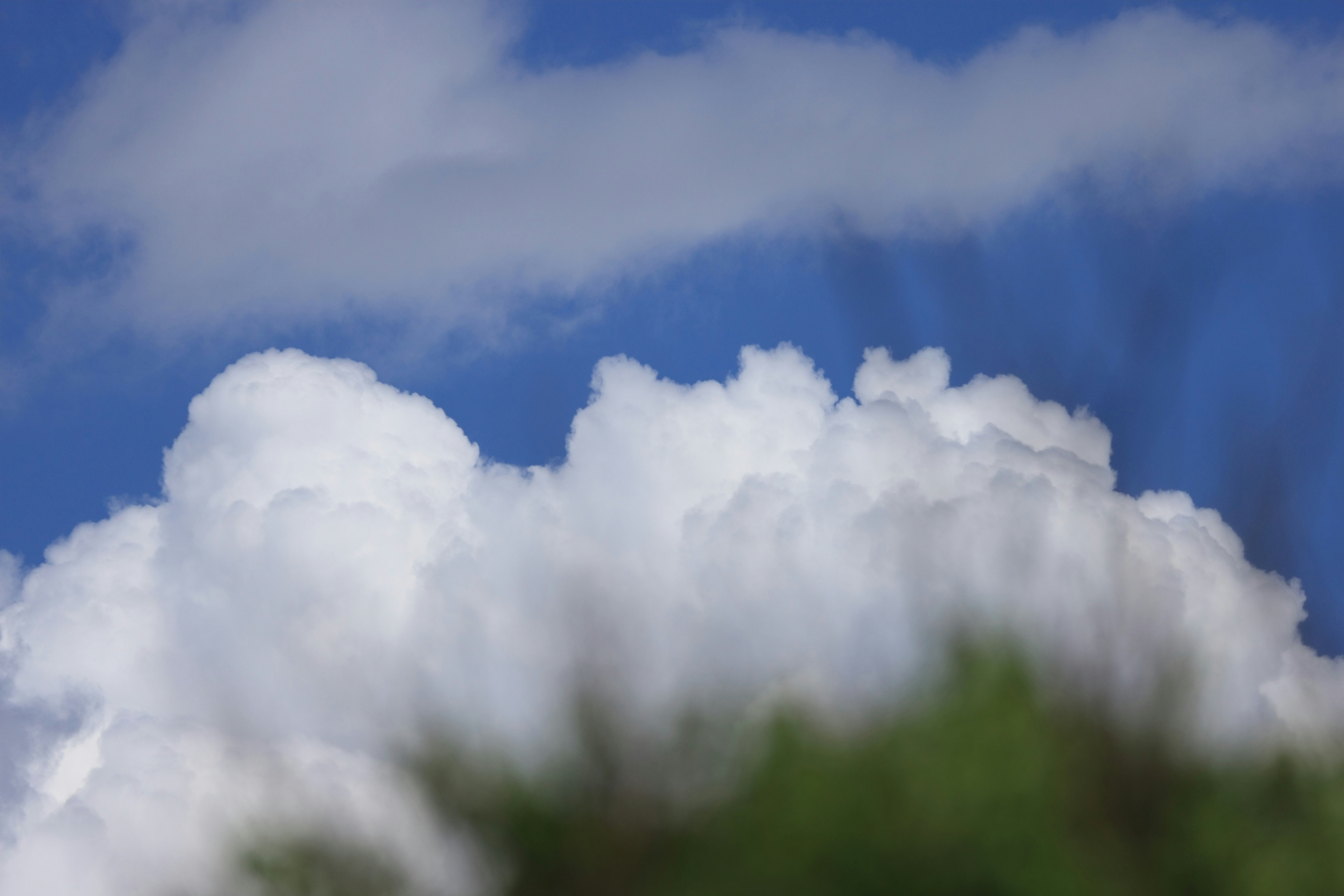 Photo by dickenslin76