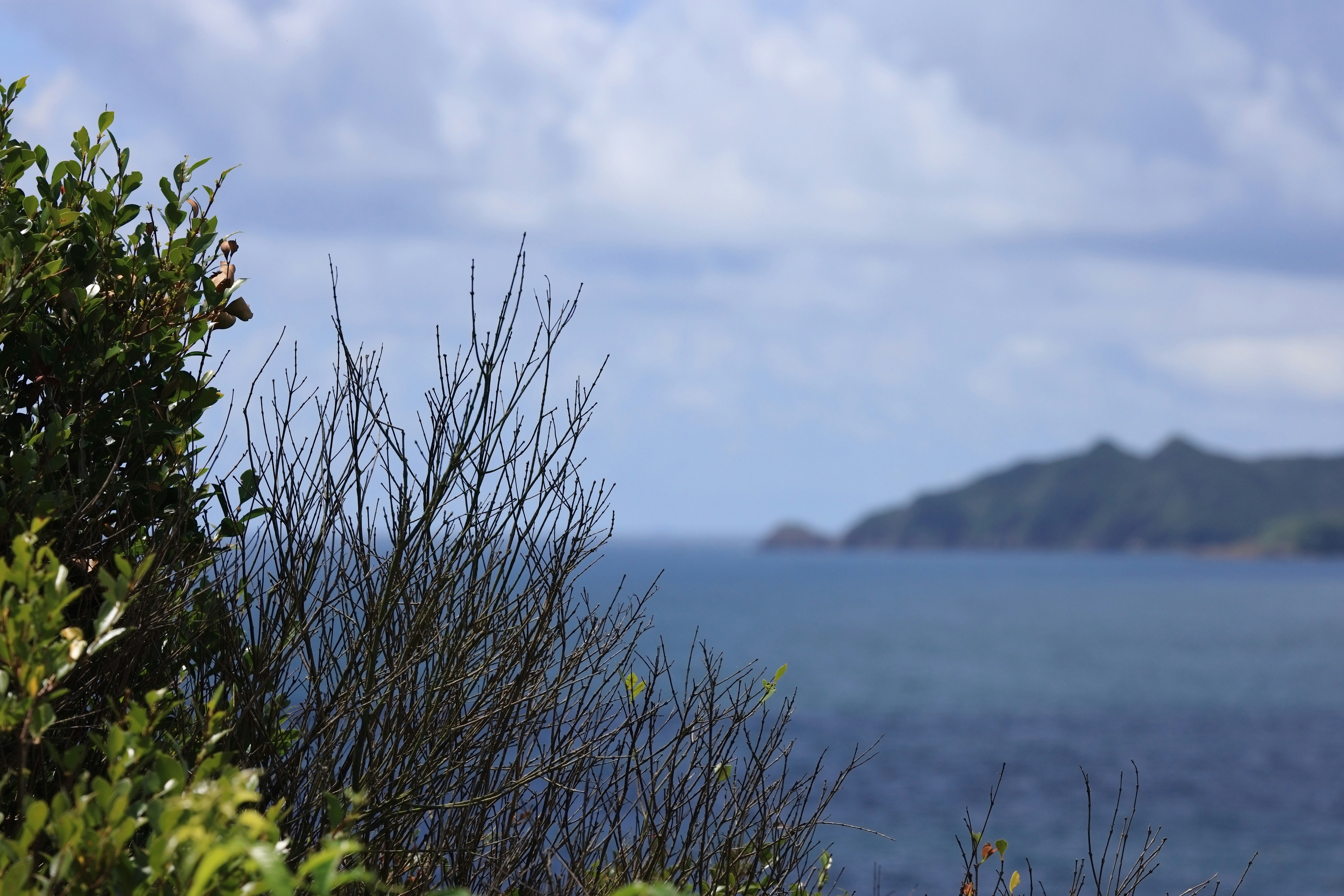 Photo by dickenslin76