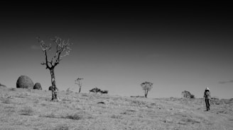 A black and white photo of a desert landscape