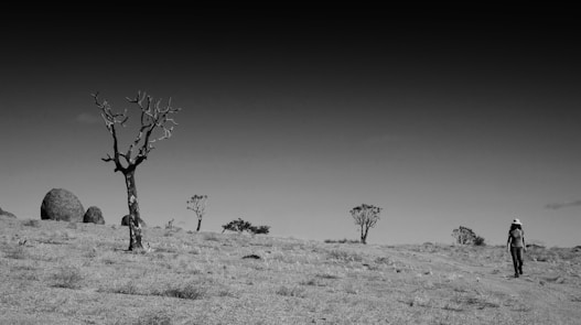 A black and white photo of a desert landscape