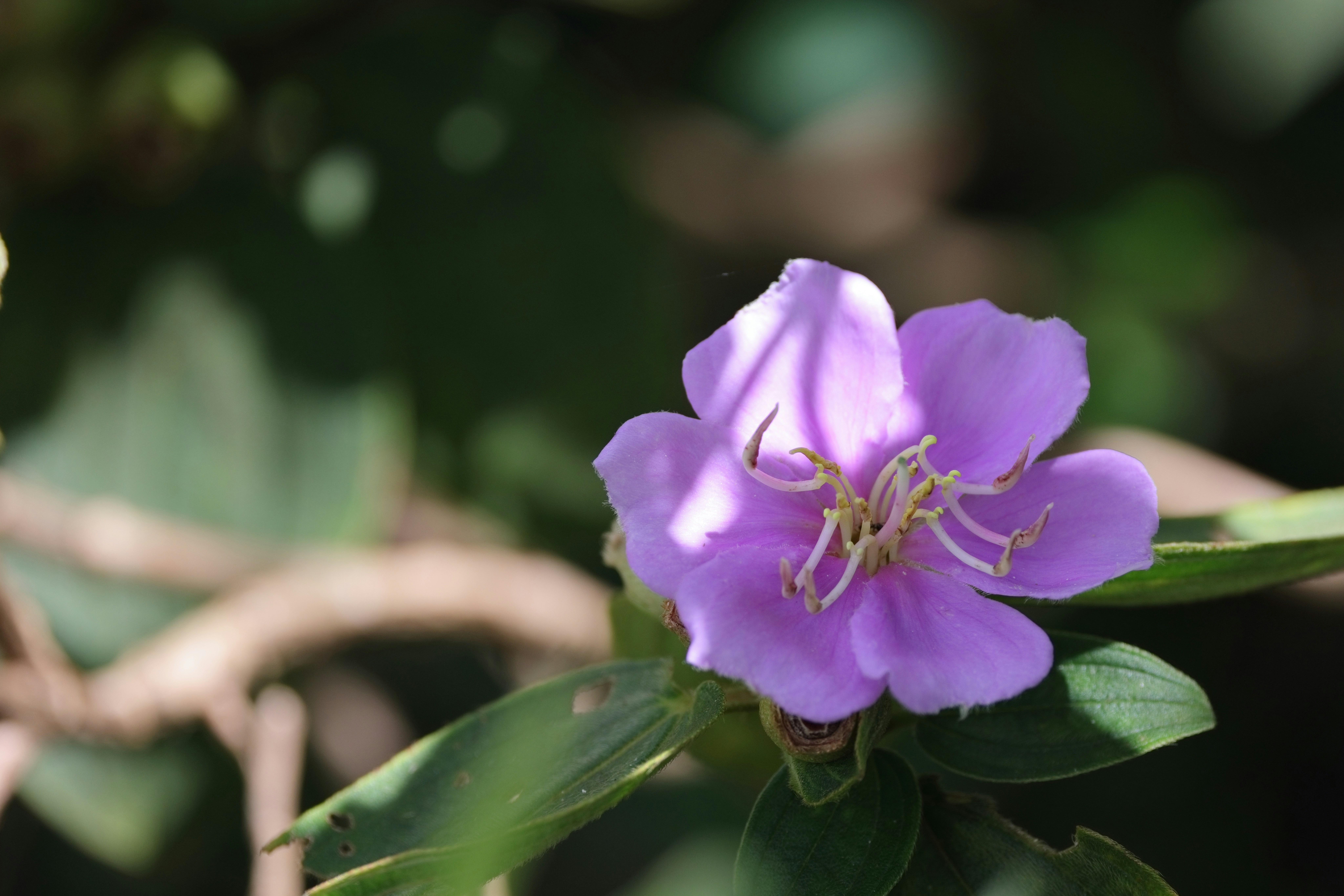 Photo by dickenslin76