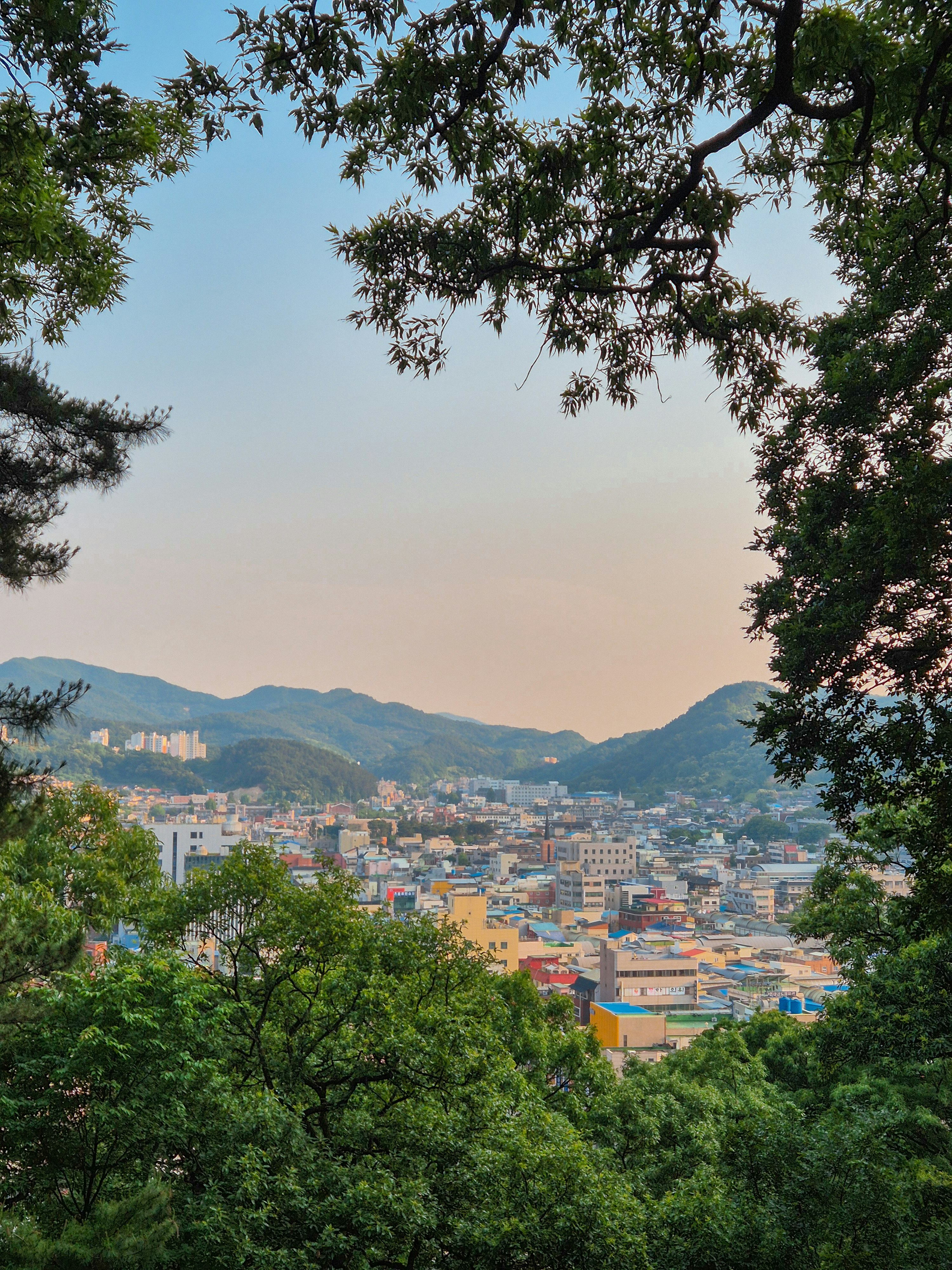 Photo by seoul_lover_lily