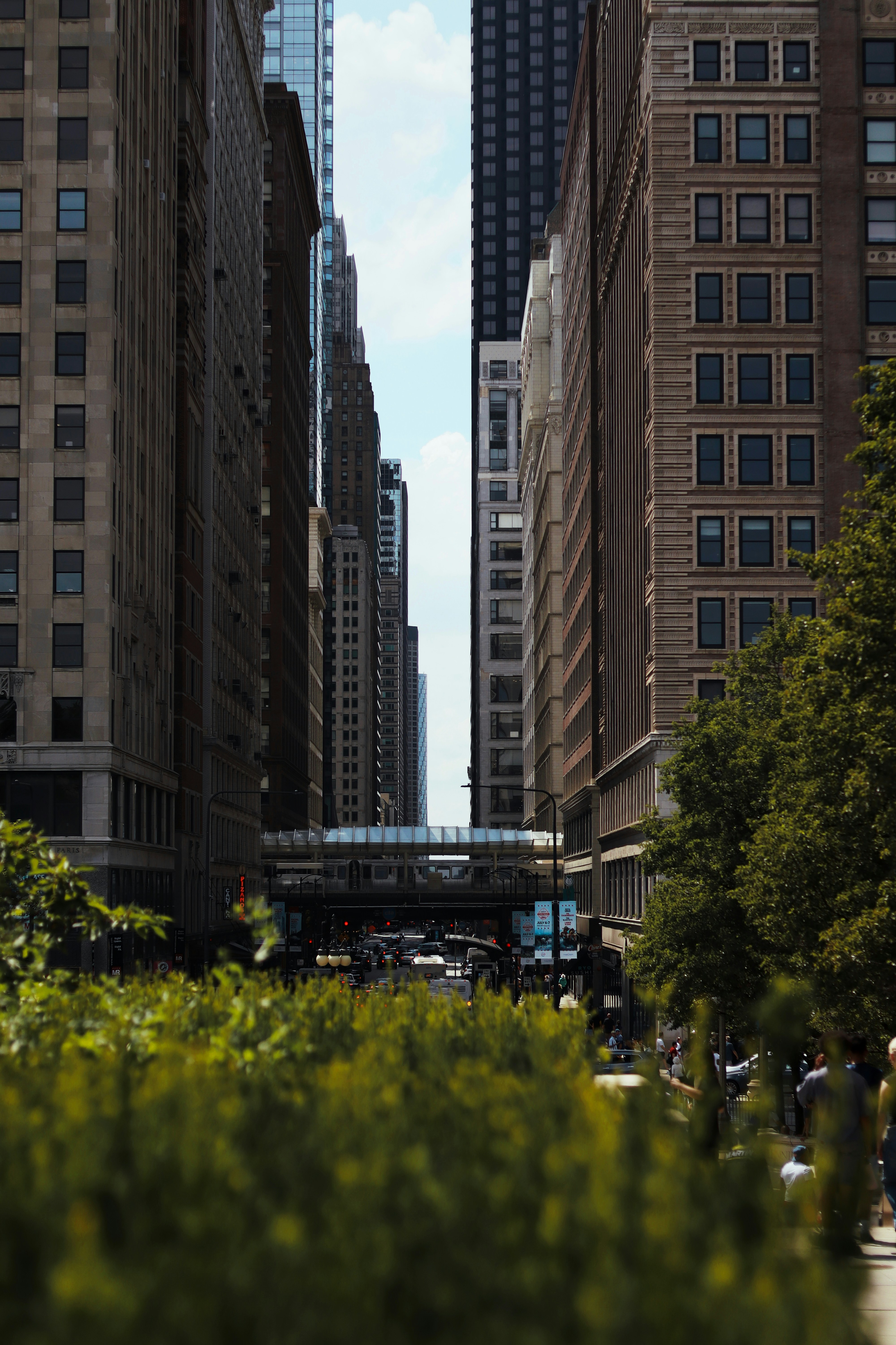 A city street lined with tall buildings and trees photo – Free Chicago ...