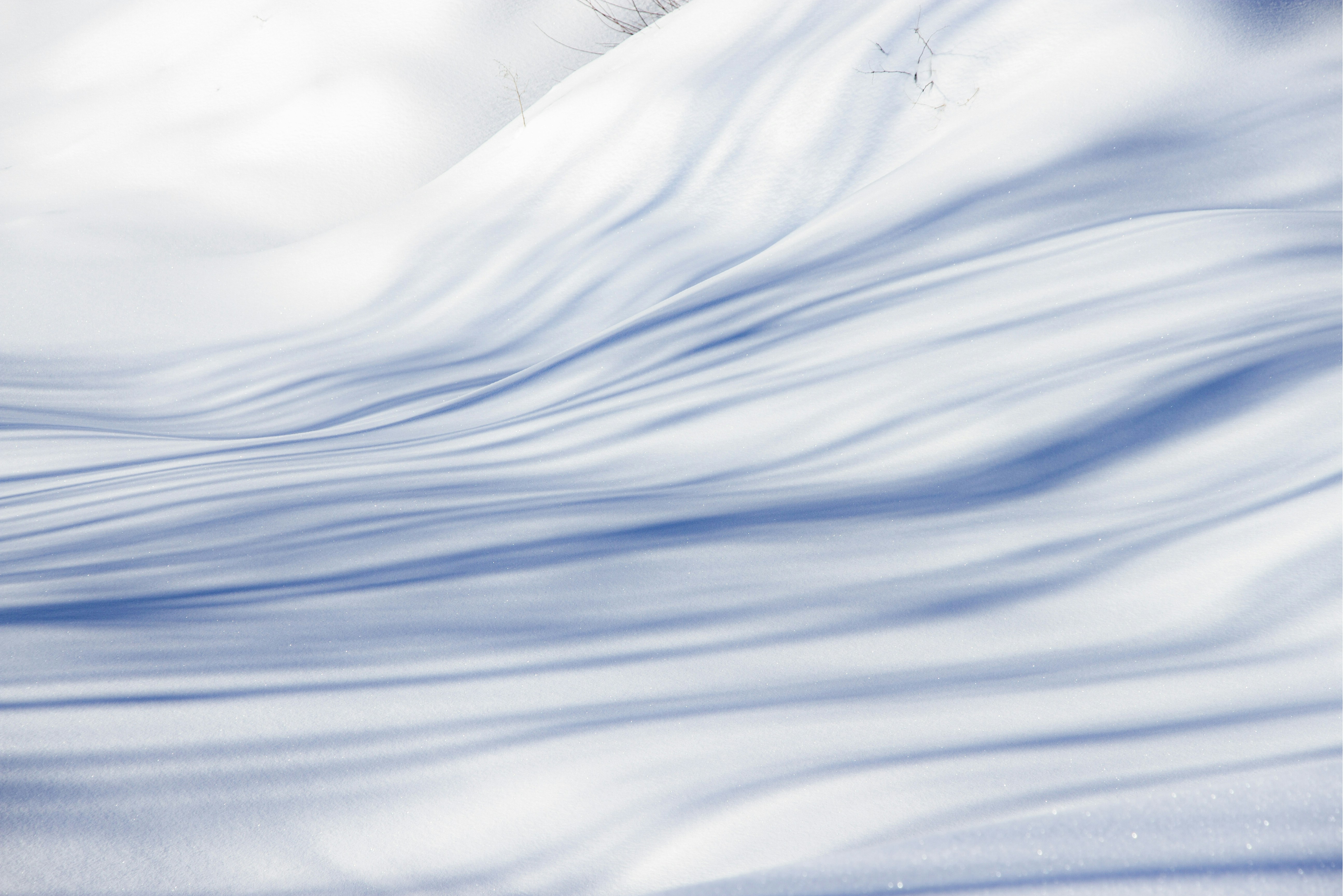 Photo by farazahanin