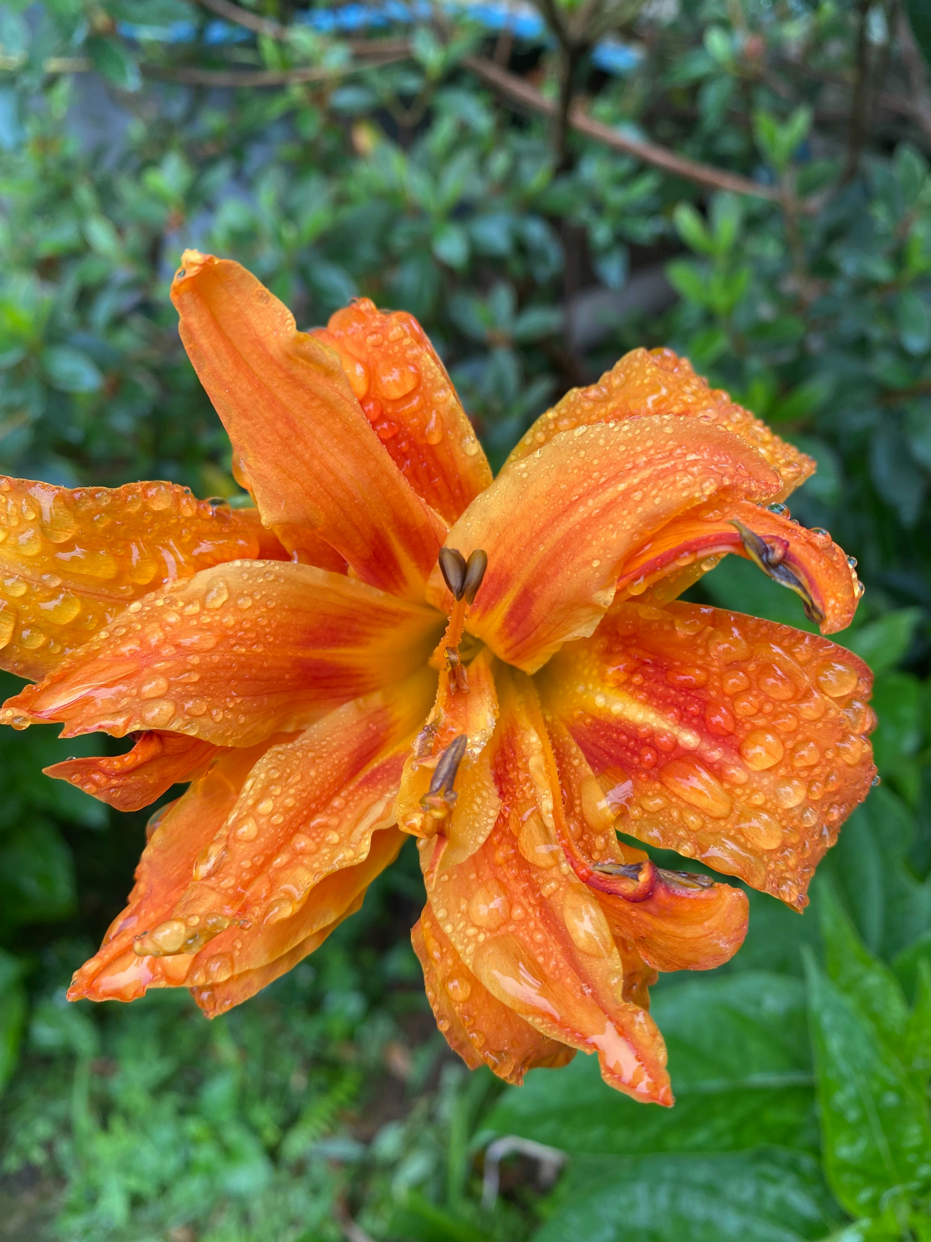 Photo by thallasophile