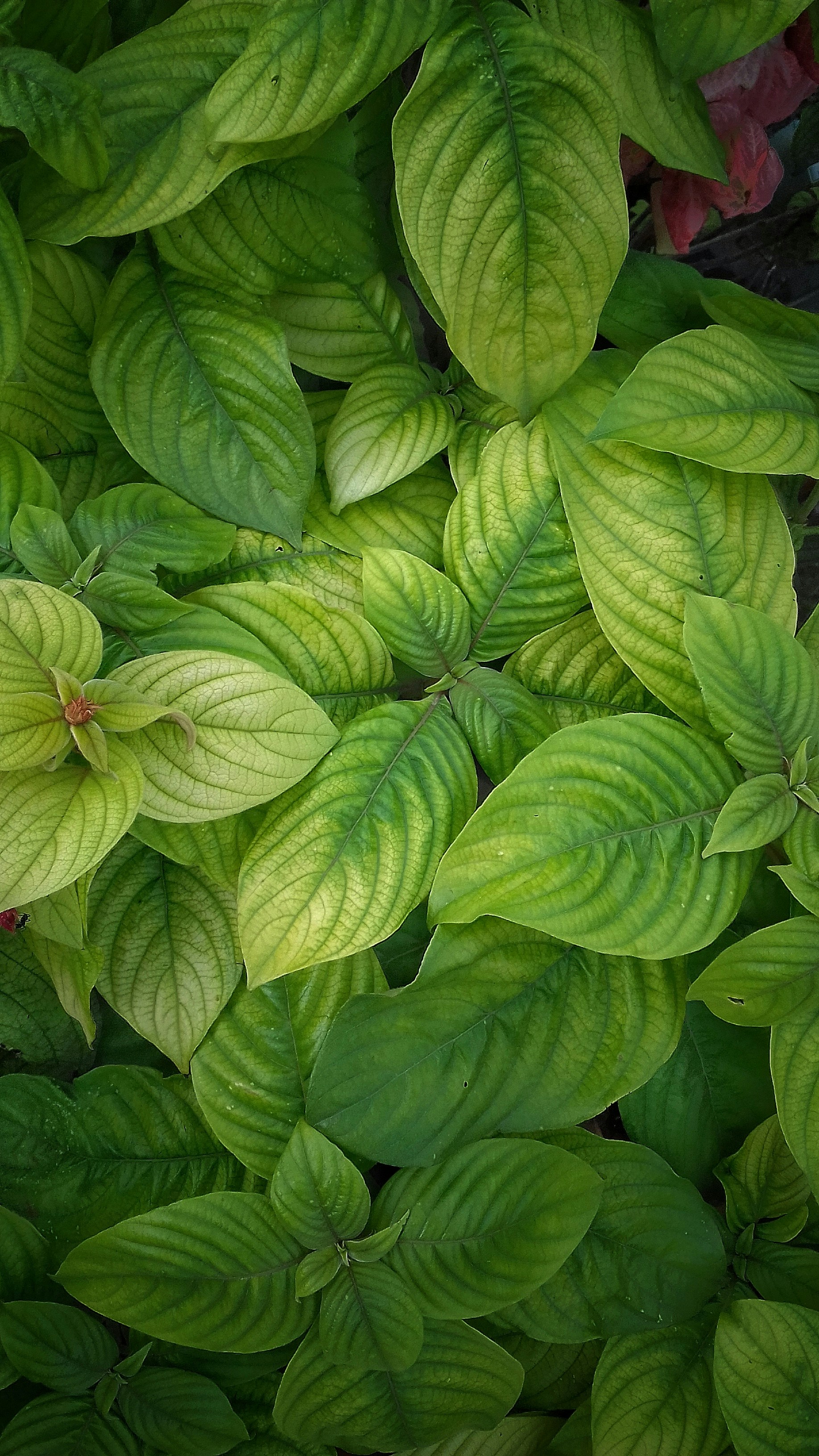 Photo by thats_my_photography