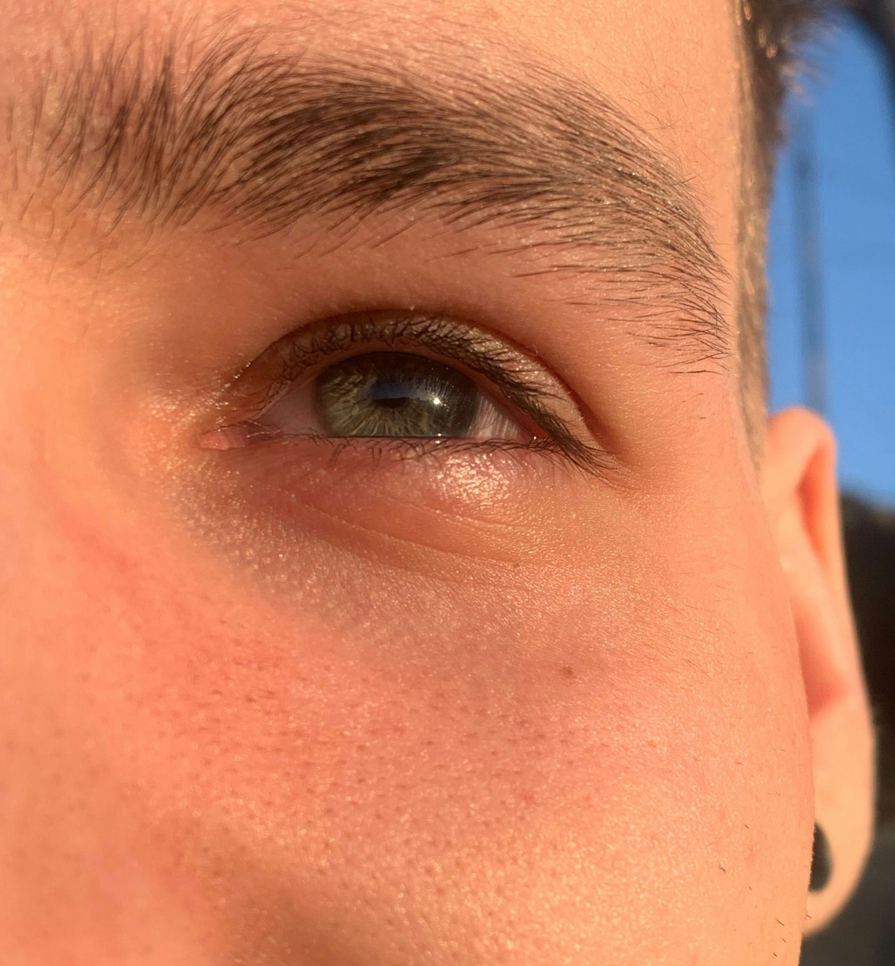 Professional eyebrow grooming session