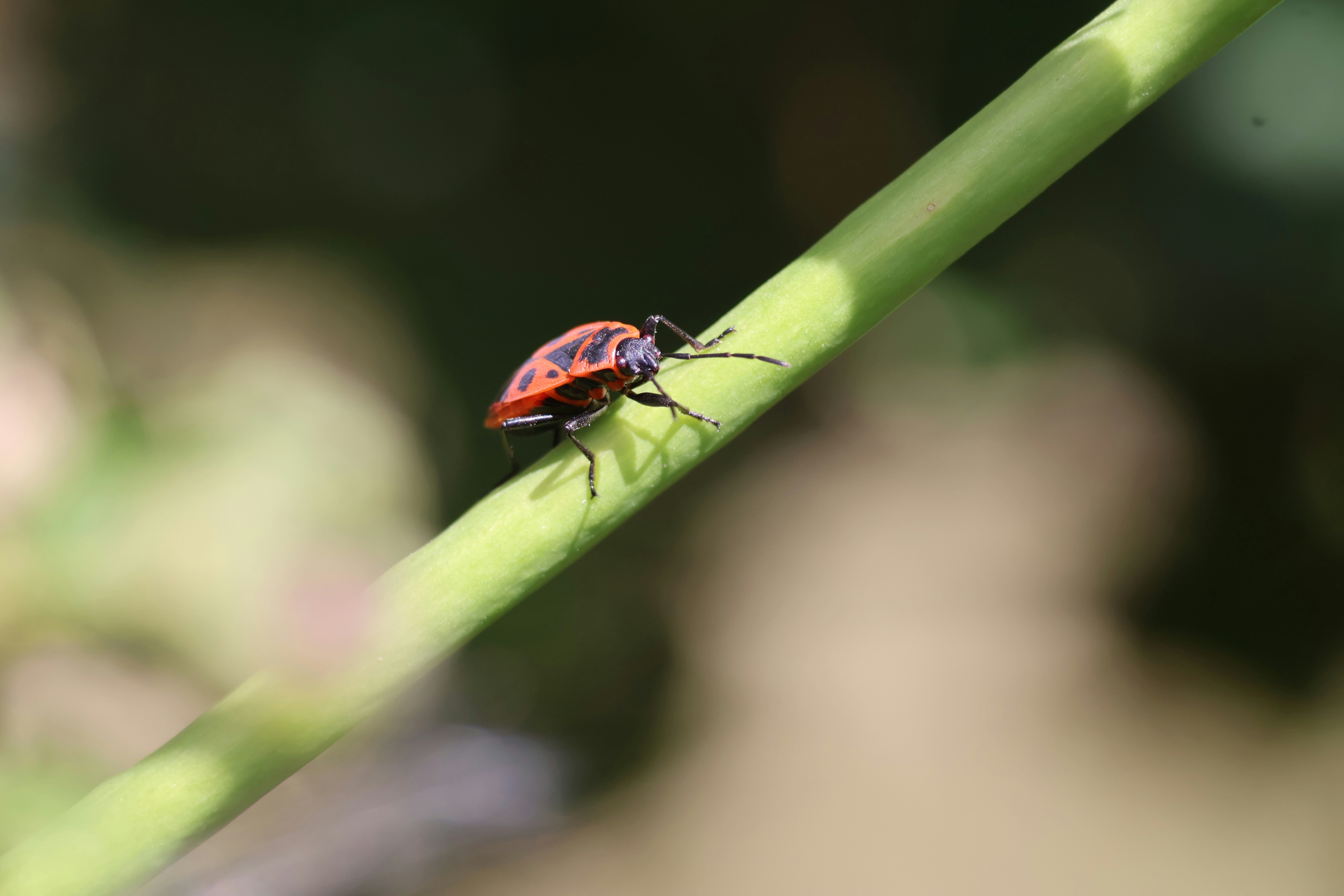 Photo by shooter__andy