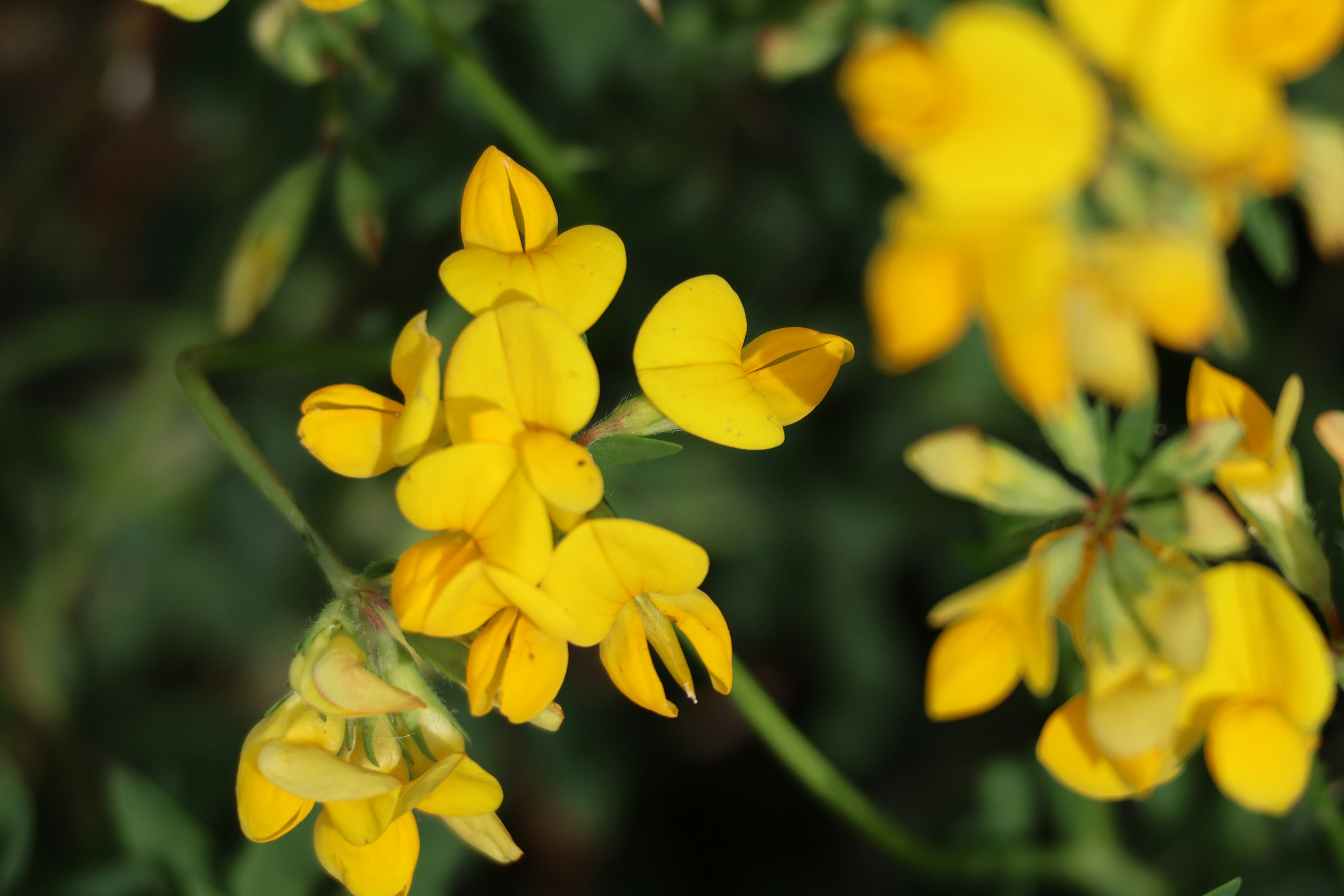 Photo by shooter__andy