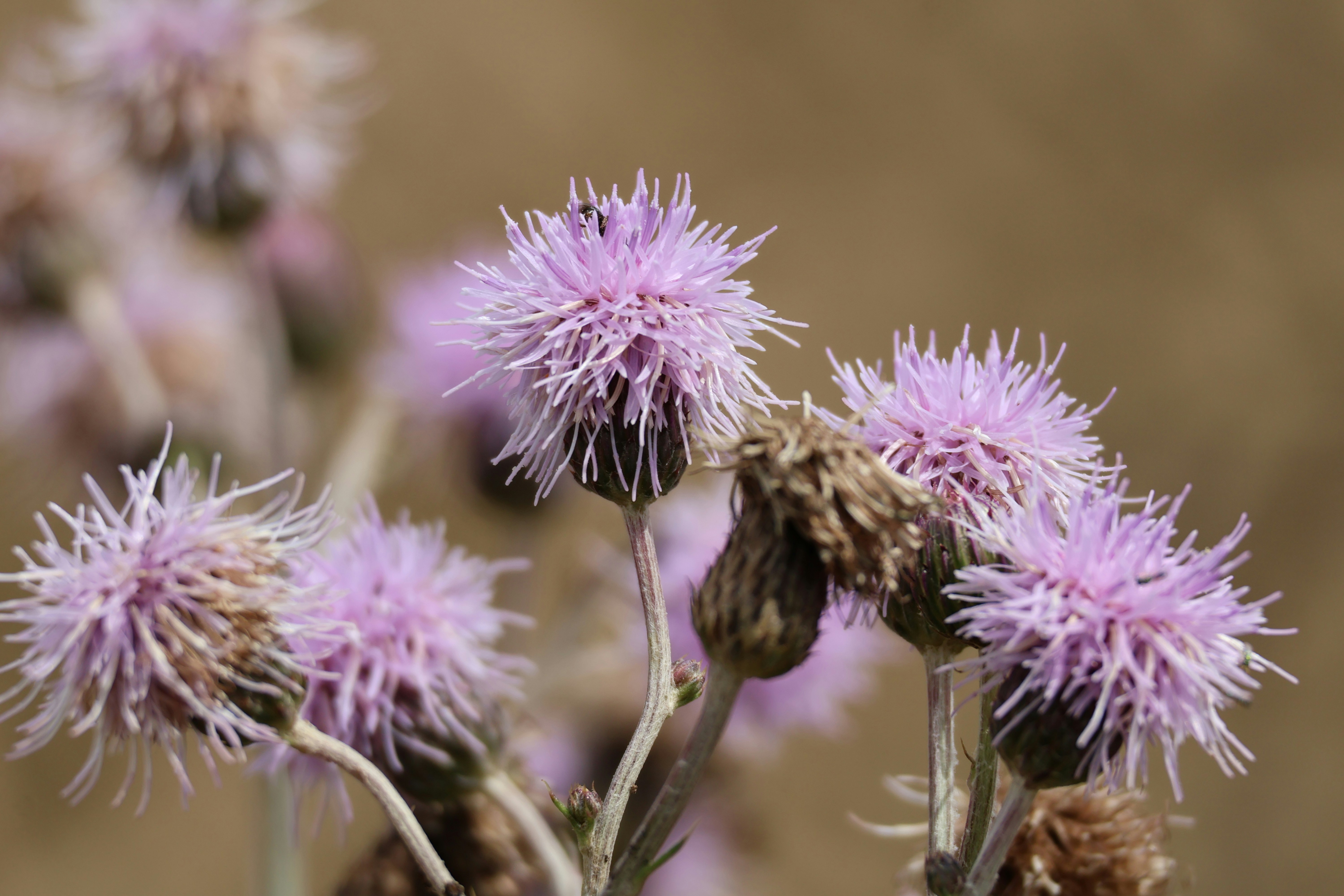 Photo by shooter__andy