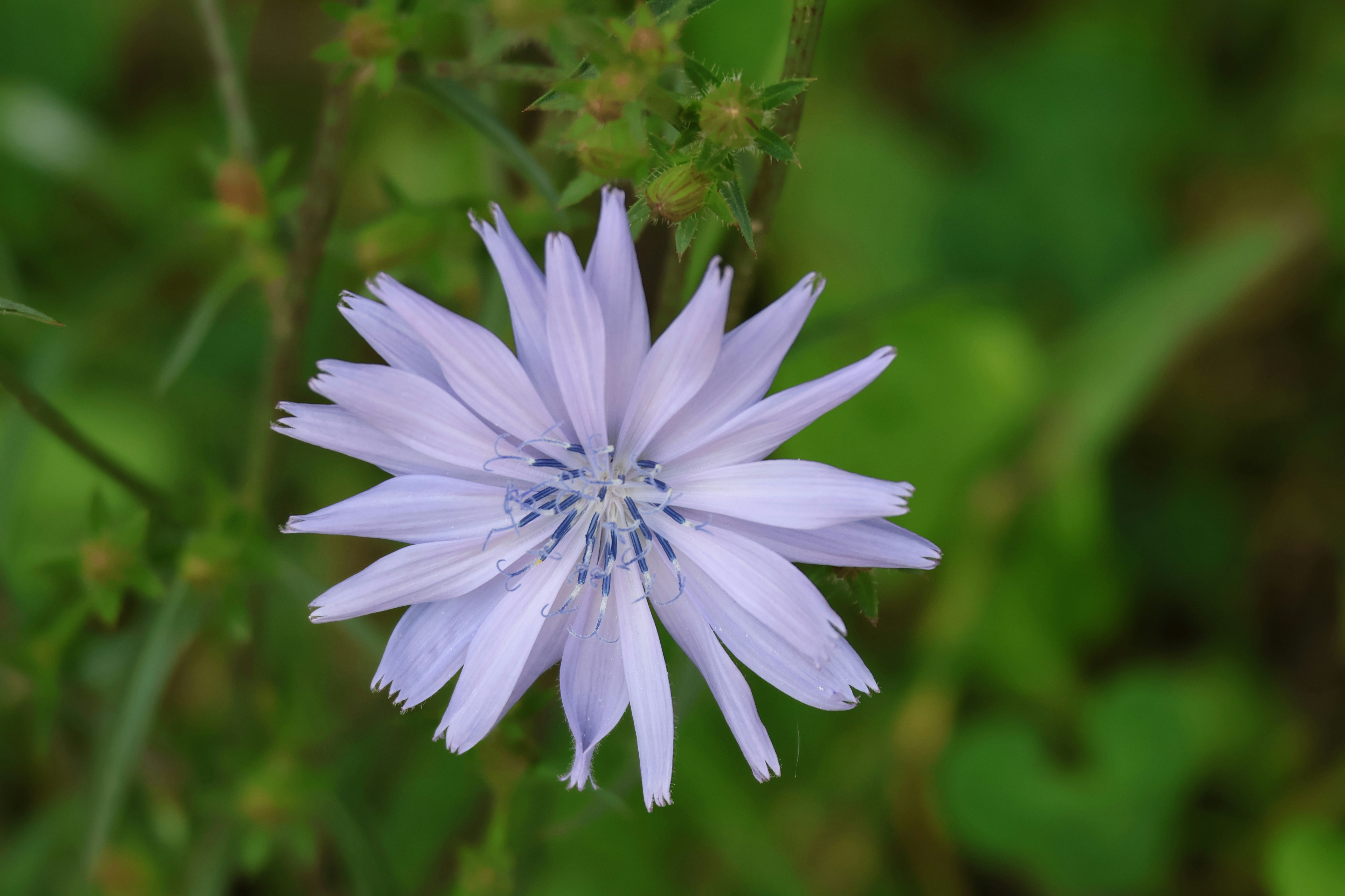 Photo by shooter__andy